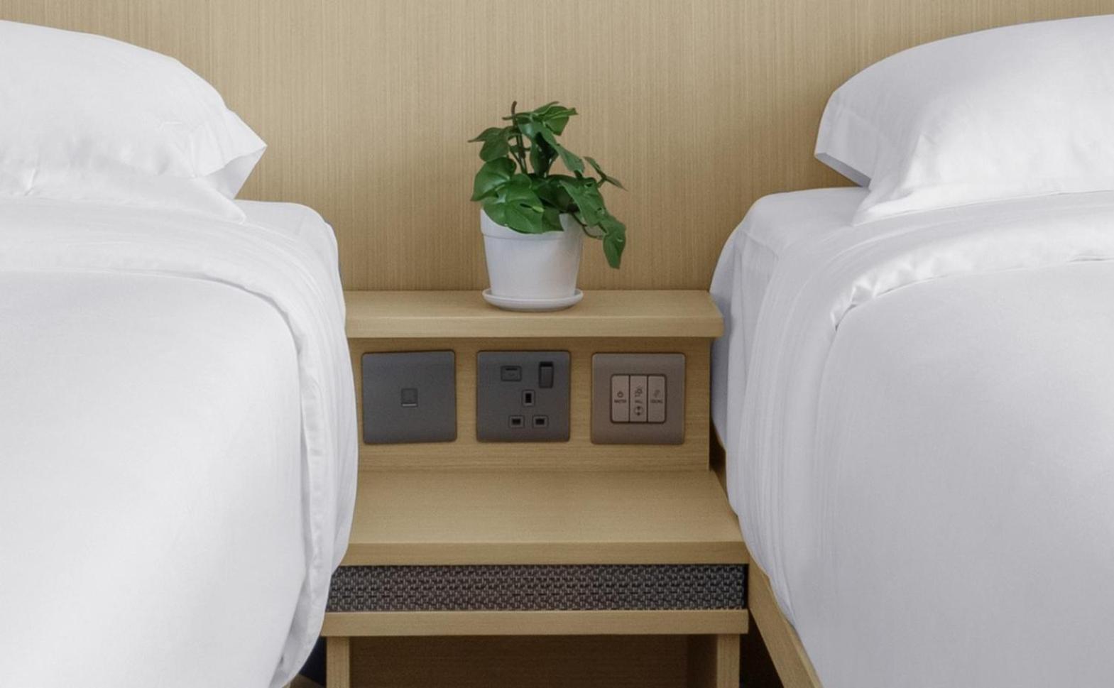 Lion Rock Deluxe Twin Room