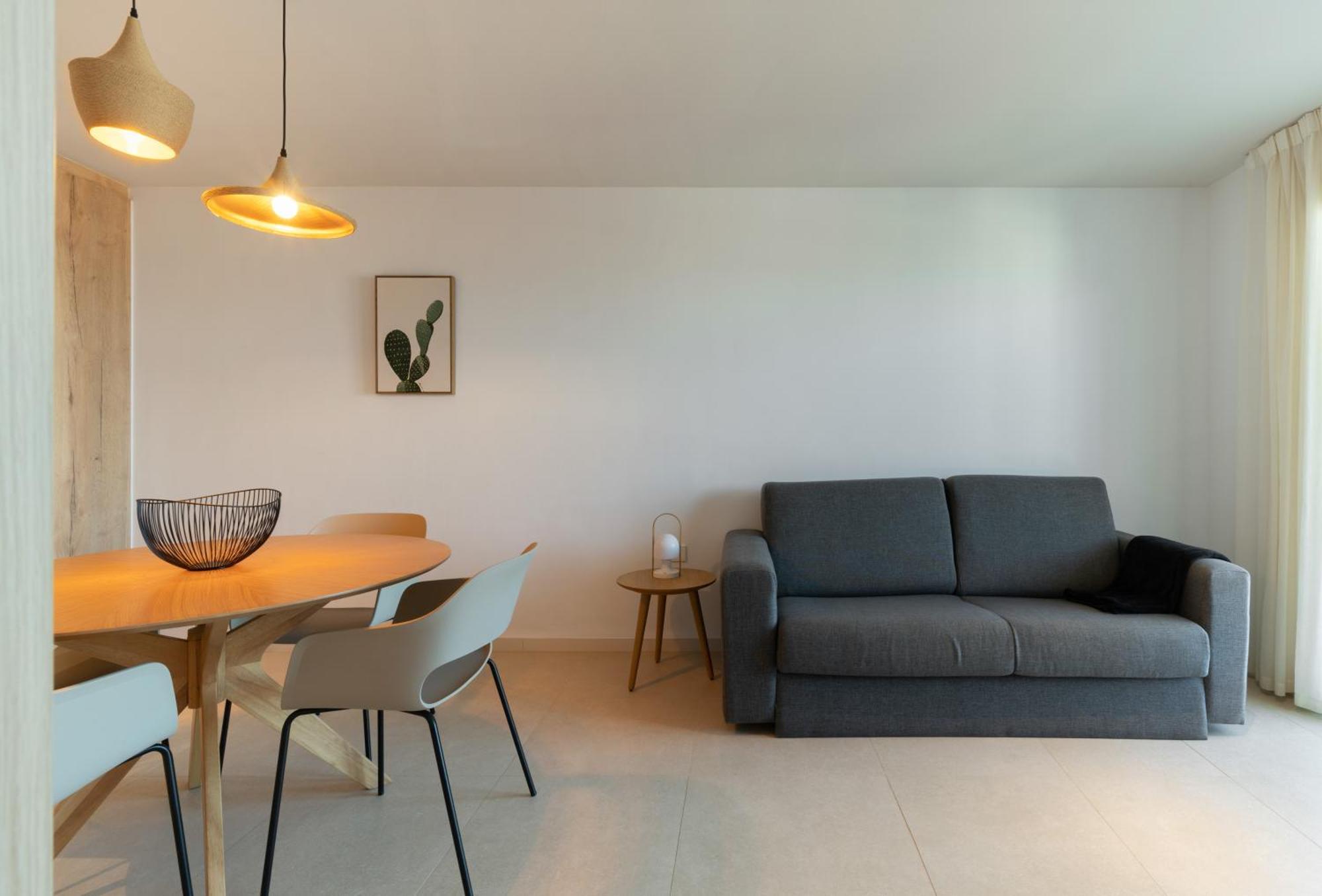 One-Bedroom Apartment (4 Adults)