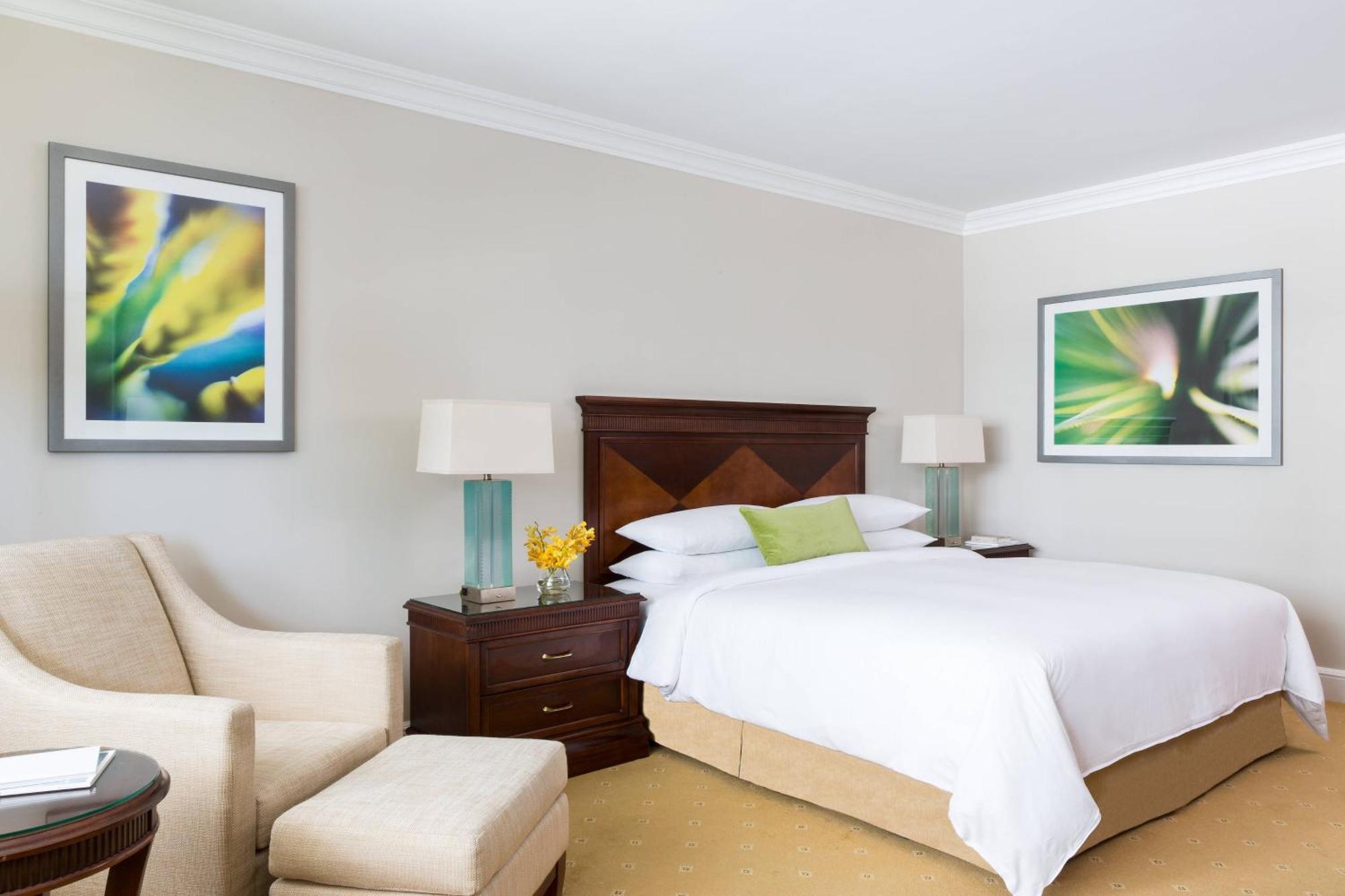Habitación con cama extragrande y vistas a la ciudad