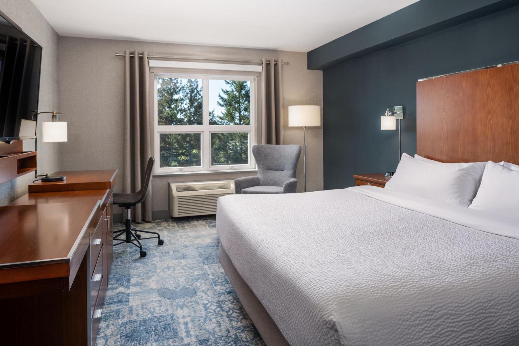 Guest Room, 1 King