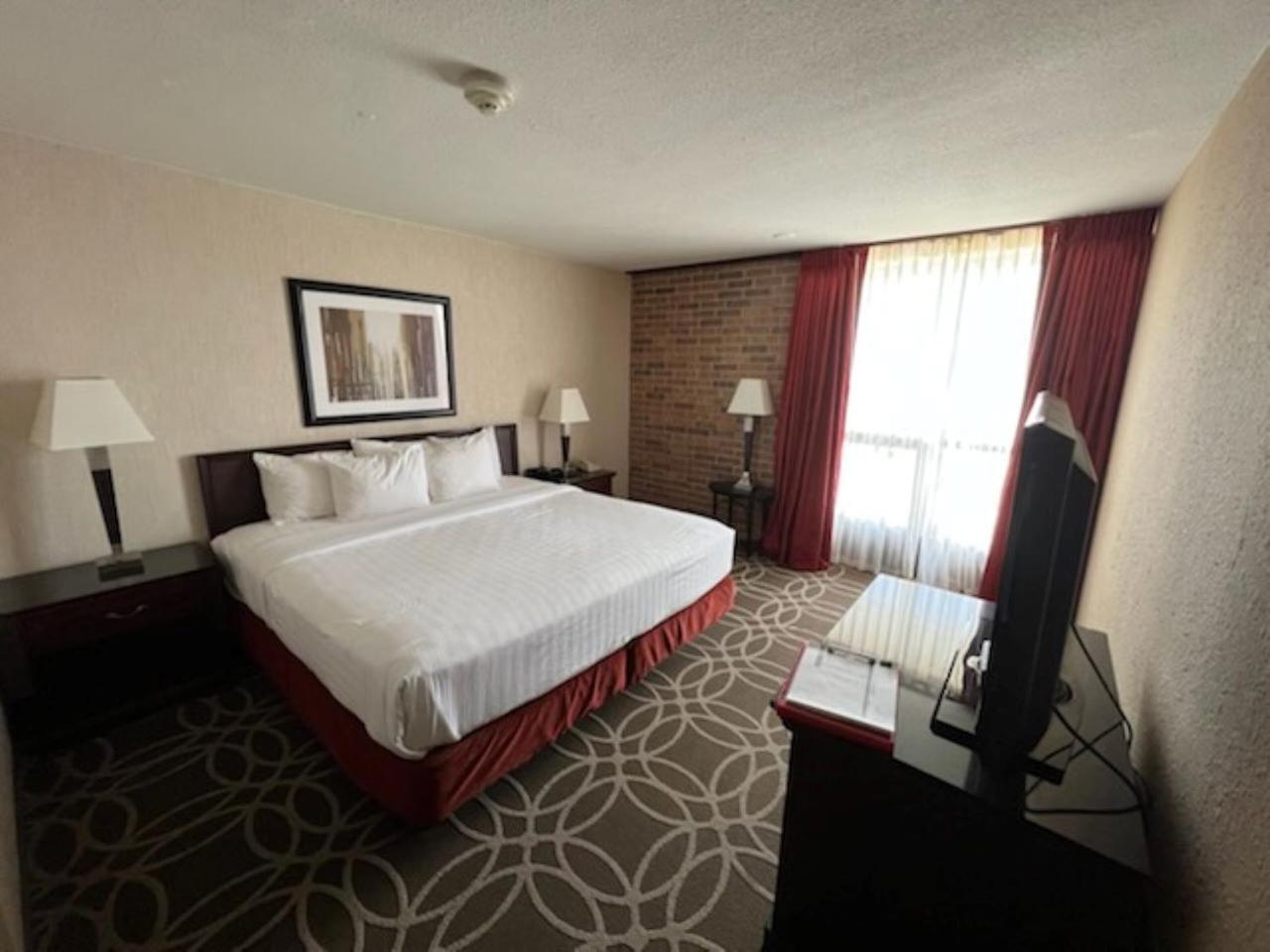 One-Bedroom Suite