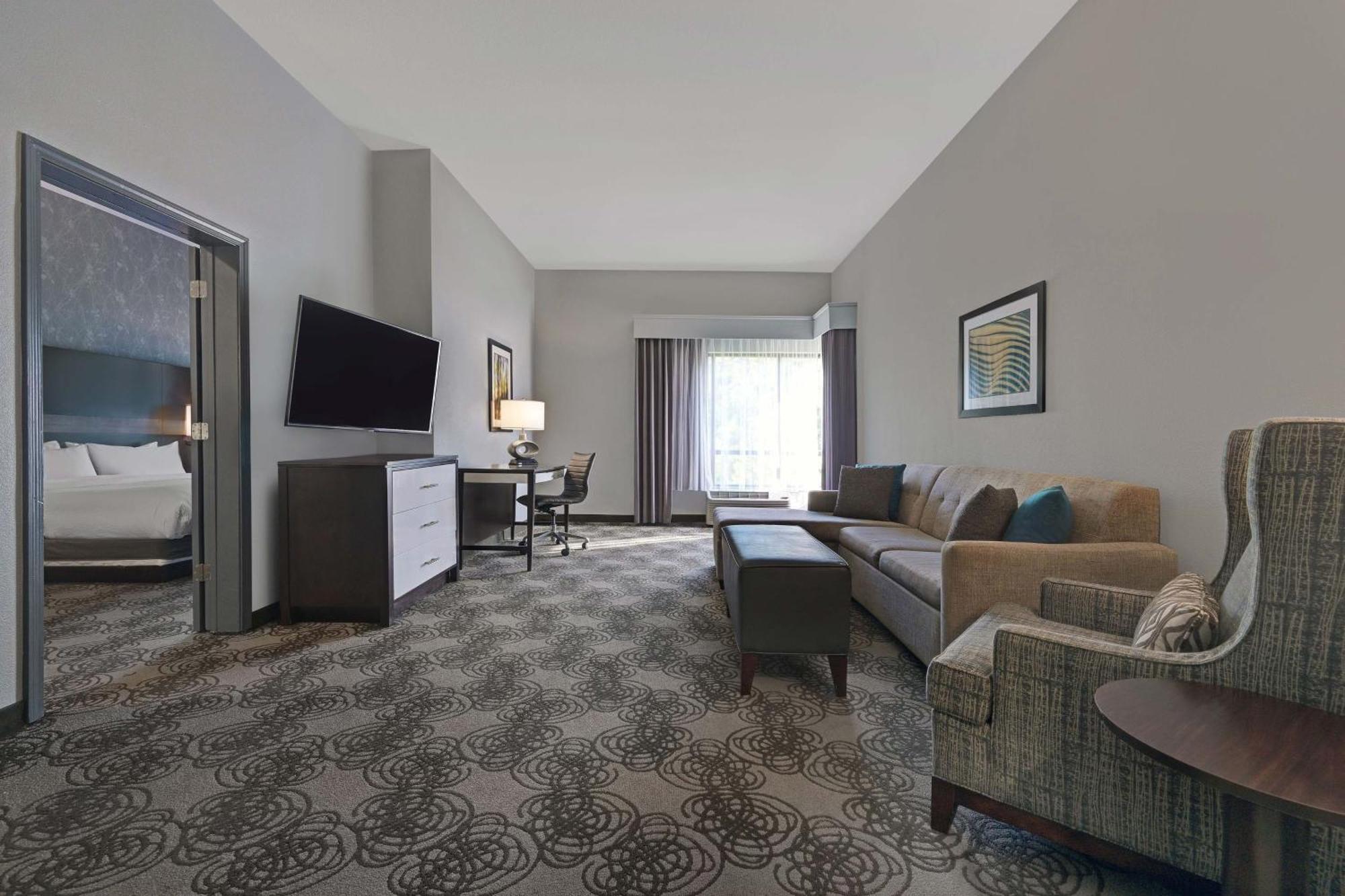 Suite, 1 King, Sofa bed