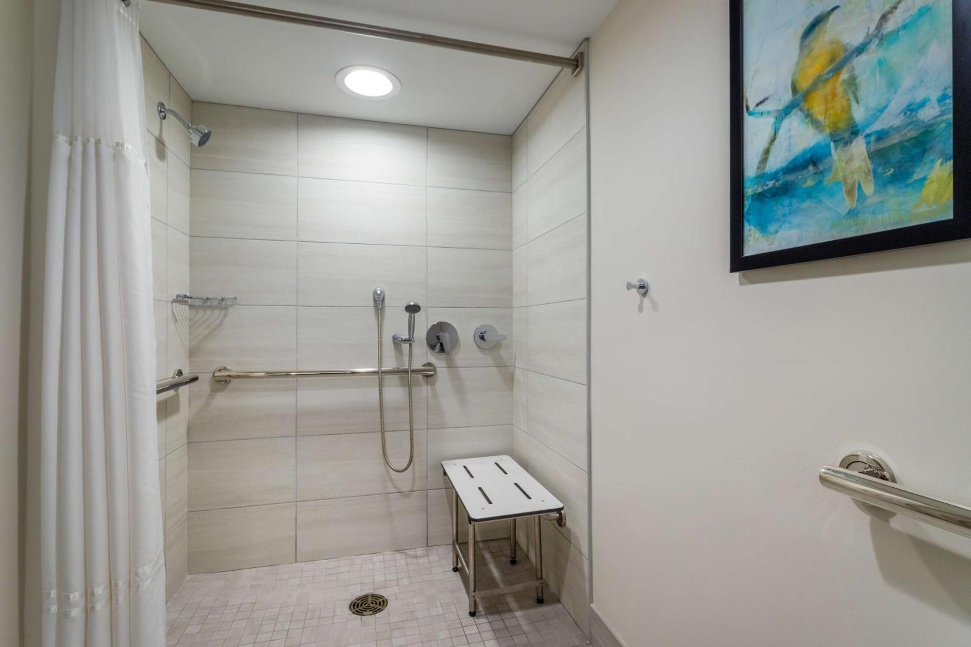 Suite con ducha accesible en silla de ruedas - 1 cama extragrande - Adaptada para personas con movilidad reducida/discapacidad auditiva - No fumadores