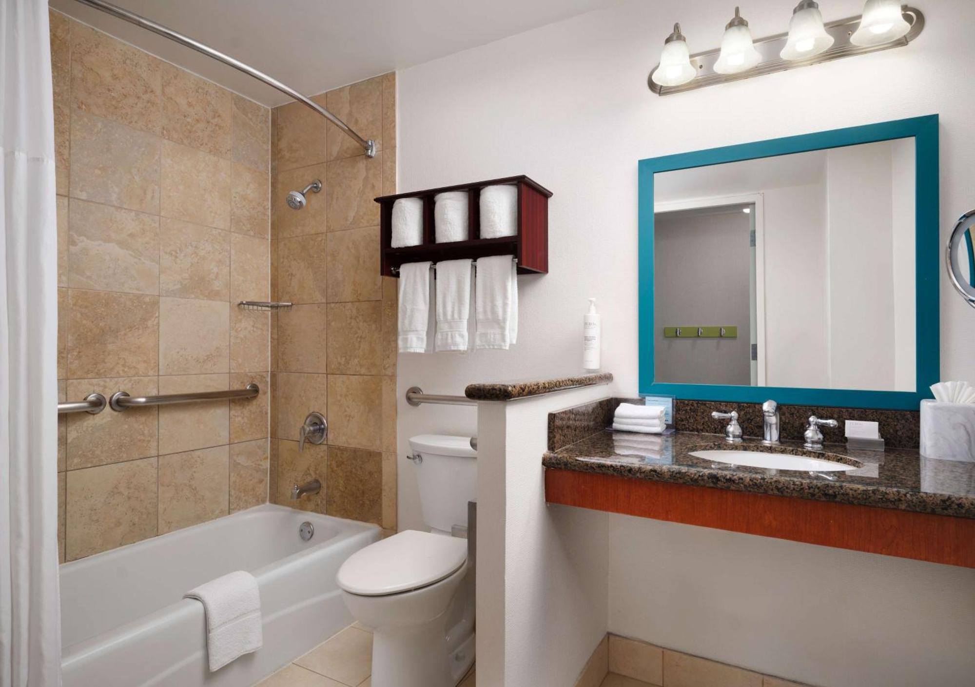 King Room Bath Tub Disability Access