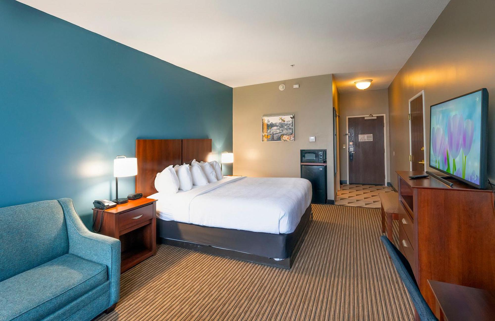 King Room,1549000060:JPEG
