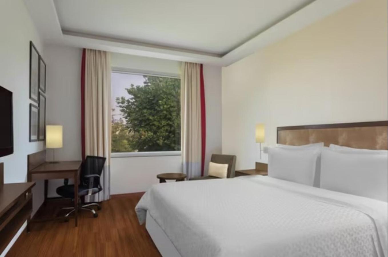 Premier Room