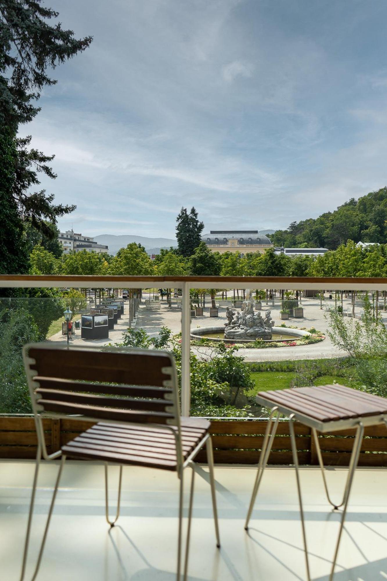 Deluxe Einzelzimmer mit Parkblick