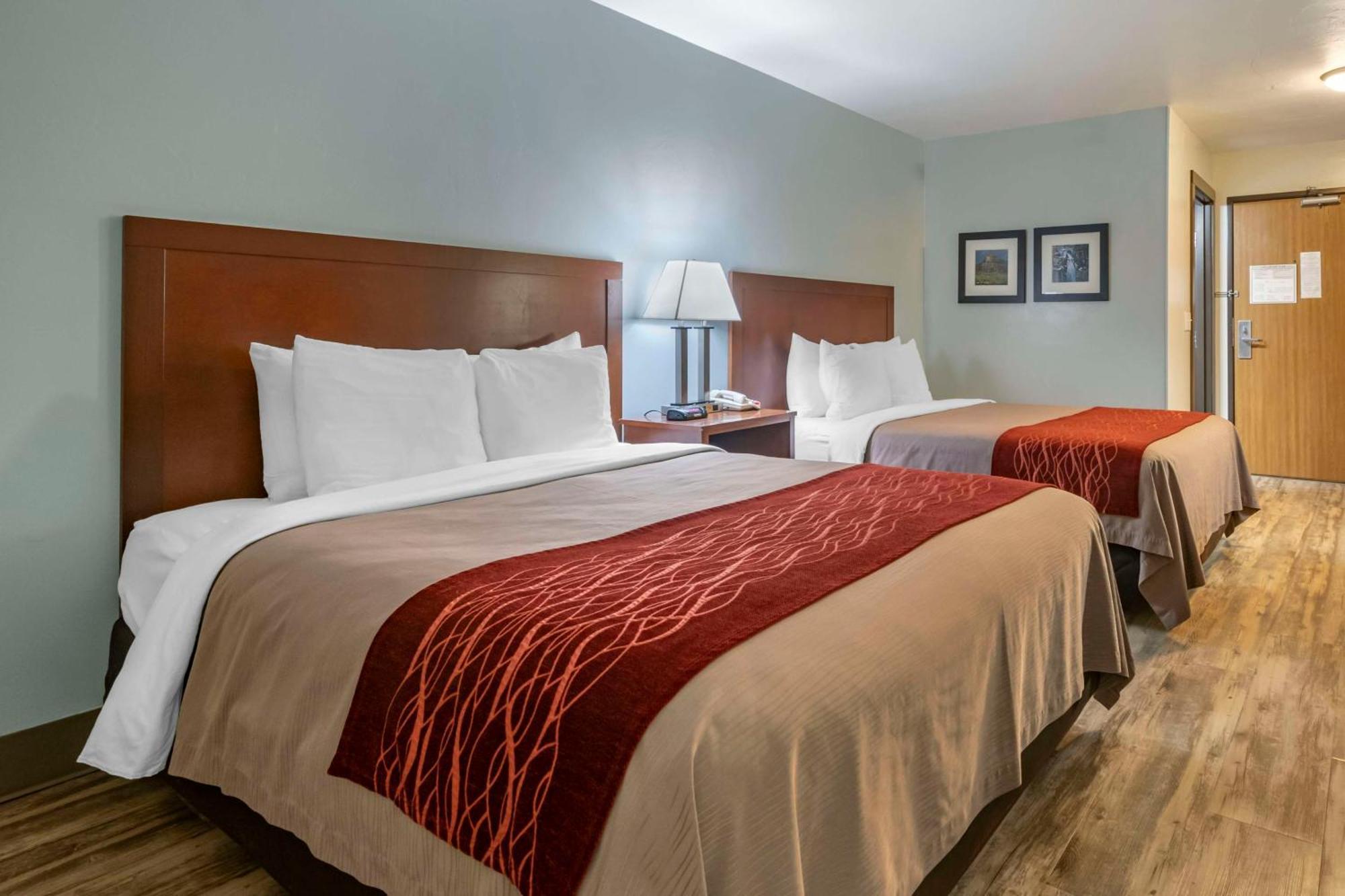 Queen Room with Two Queen Beds - Non Smoking