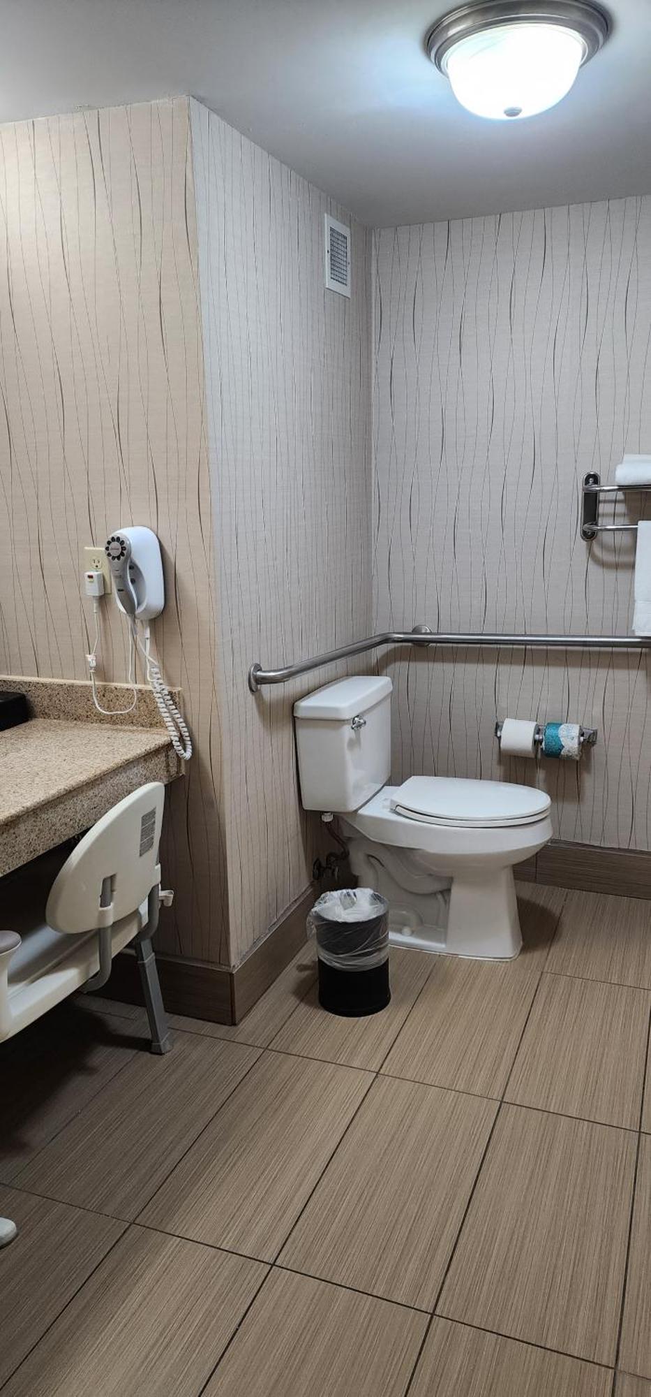 King Room Roll Shower Mobility Access or Non-Smoking,1550161186:JPEG