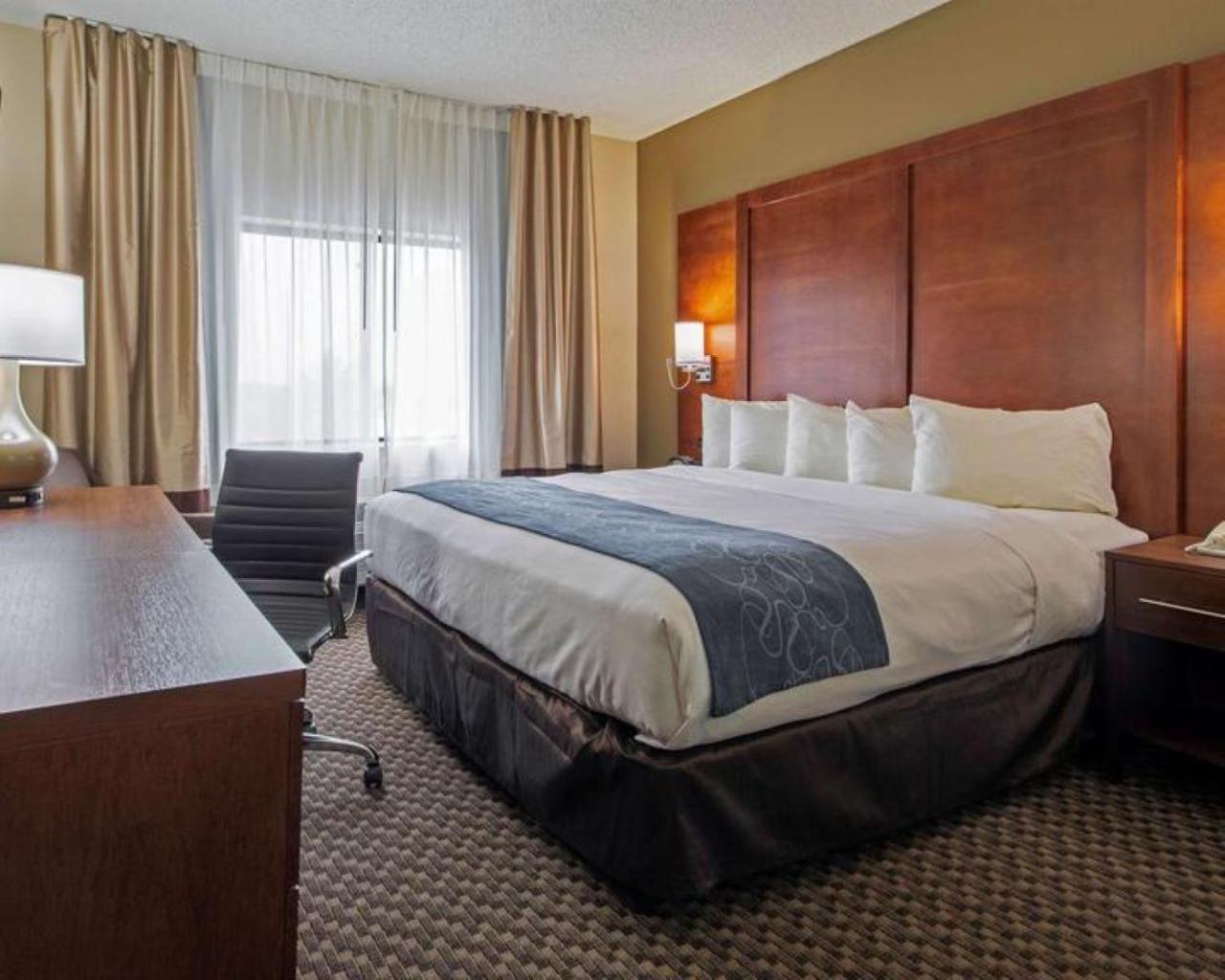 Queen Room - Non-Smoking