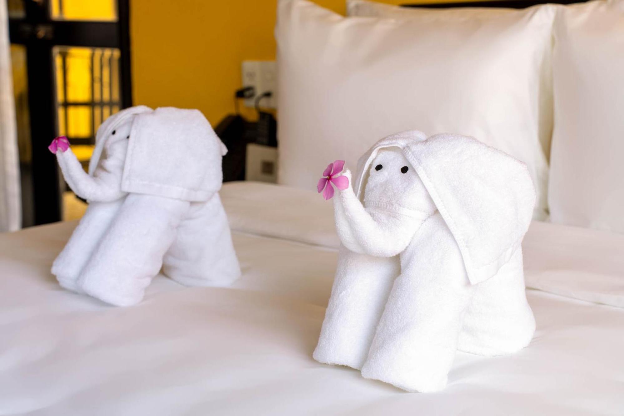 Deluxe Family Suite