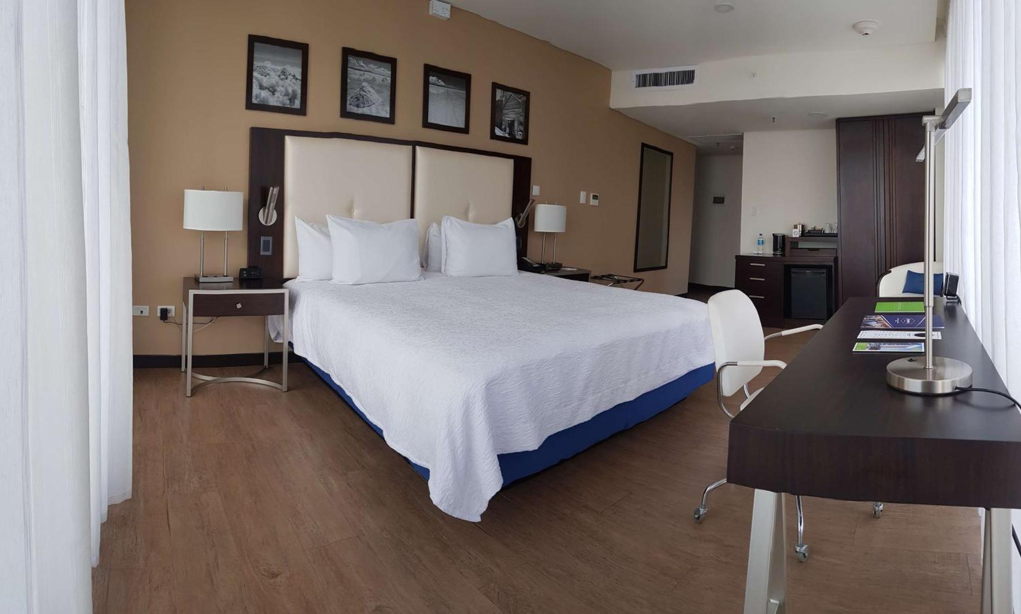 King Room with Panoramic View