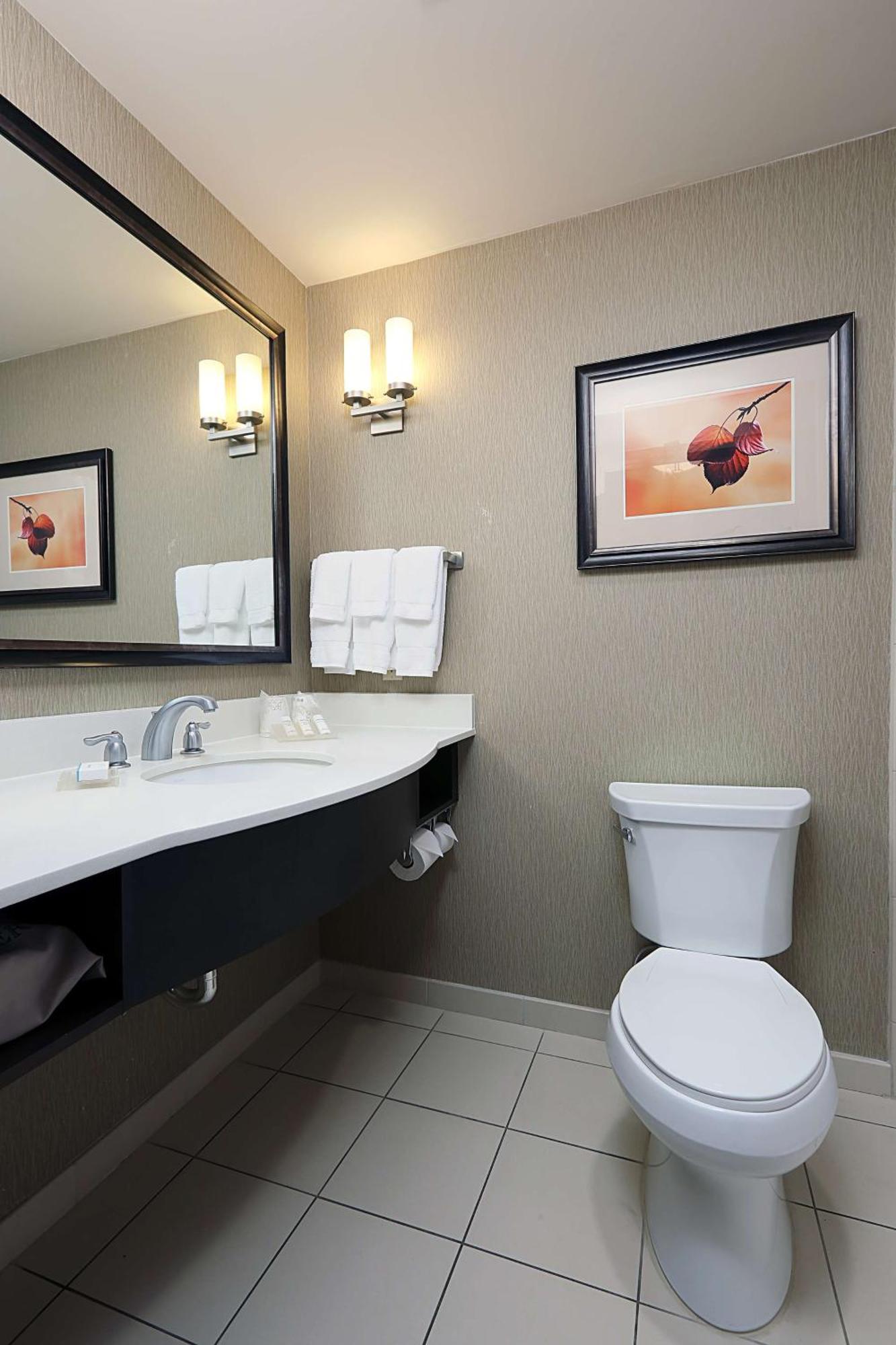 Evolution King Room