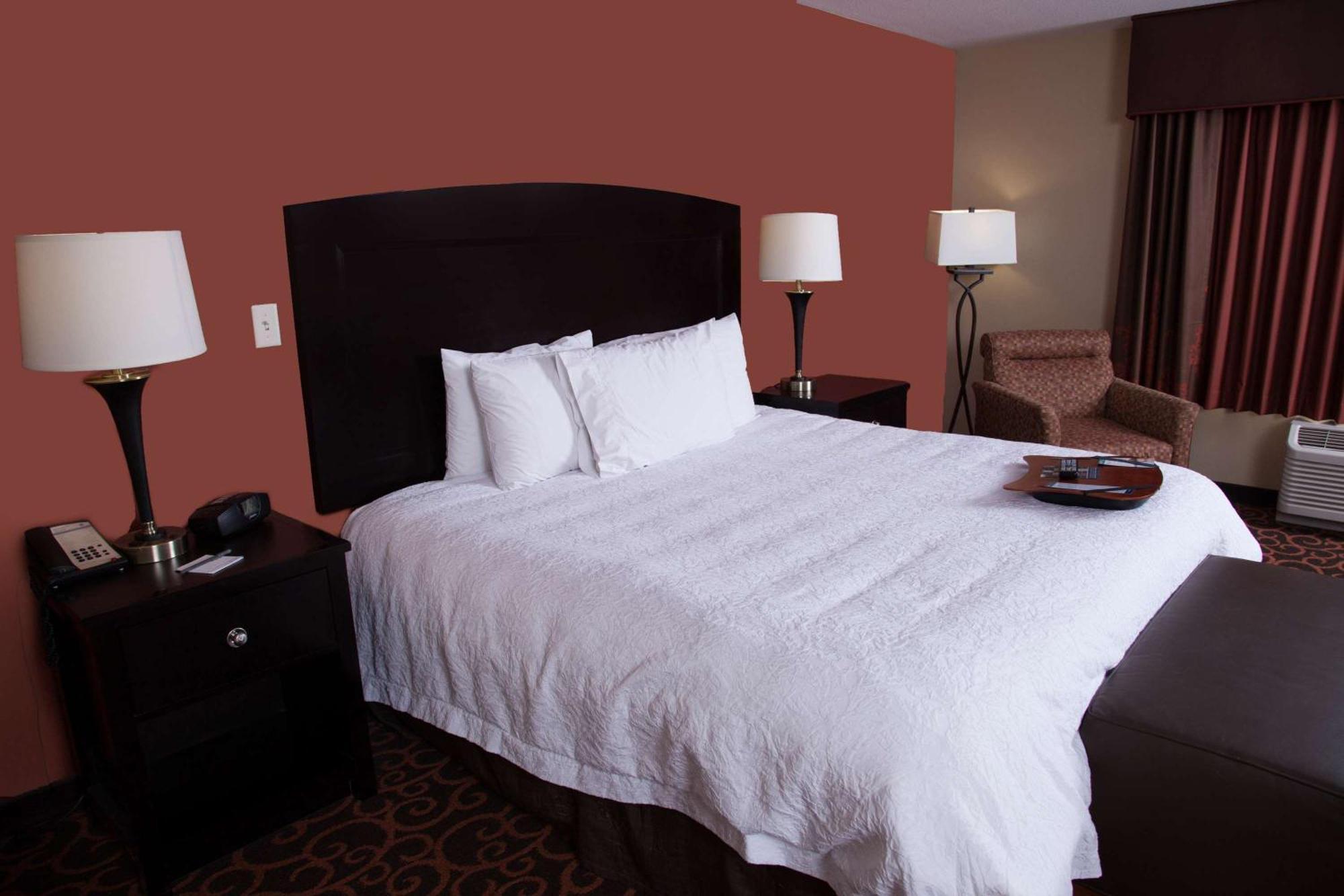 King Studio Suite Sofa Bed Hearing Access or Non-Smoking,1551395092:JPEG