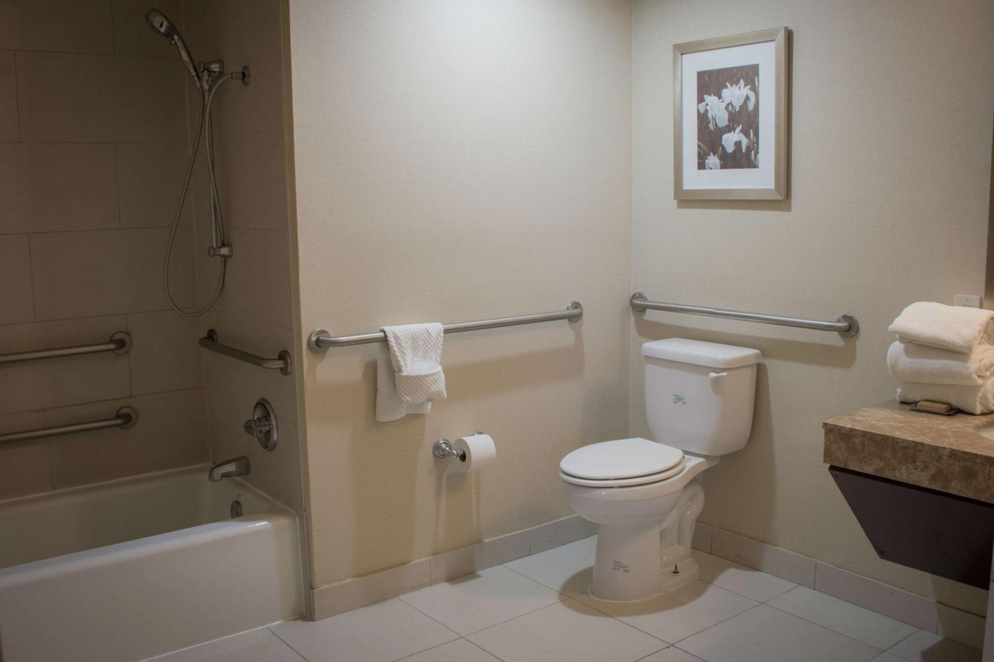 King Room with Mobility Access and Bathtub with Grab Bars, Non-Smoking