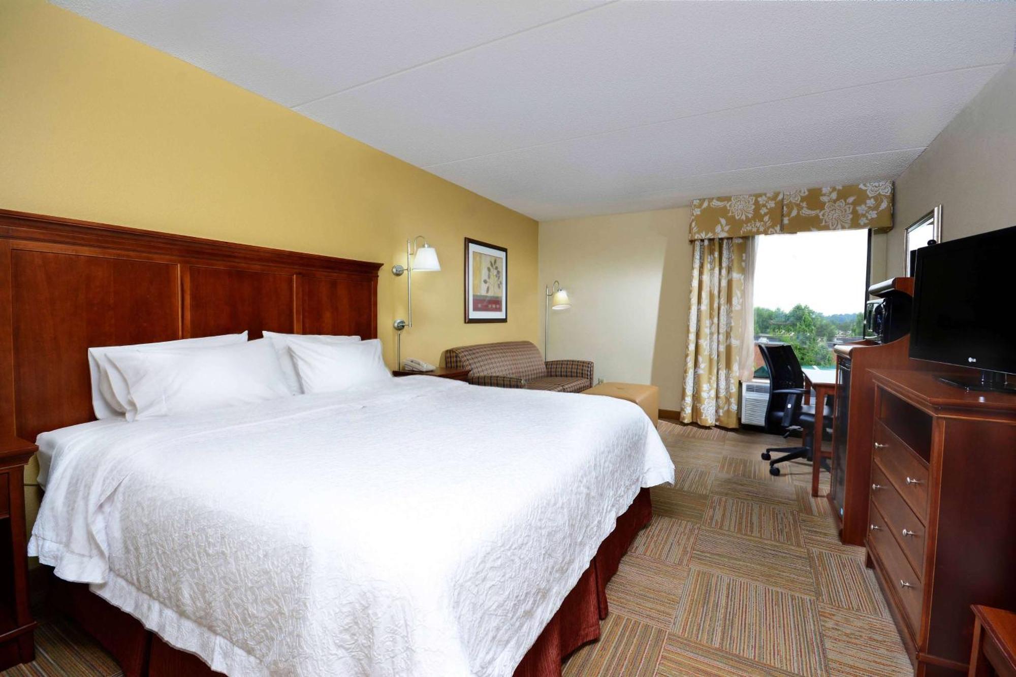 Habitación con cama extragrande y sofá cama - No fumadores