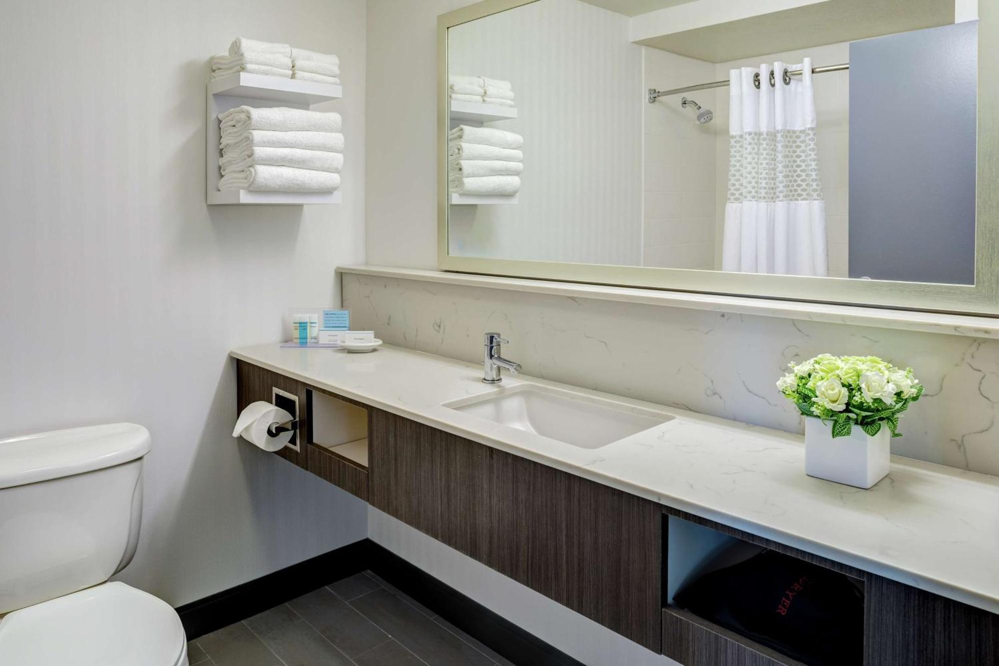 One-Bedroom King Suite with Sofa Bed - Non-Smoking