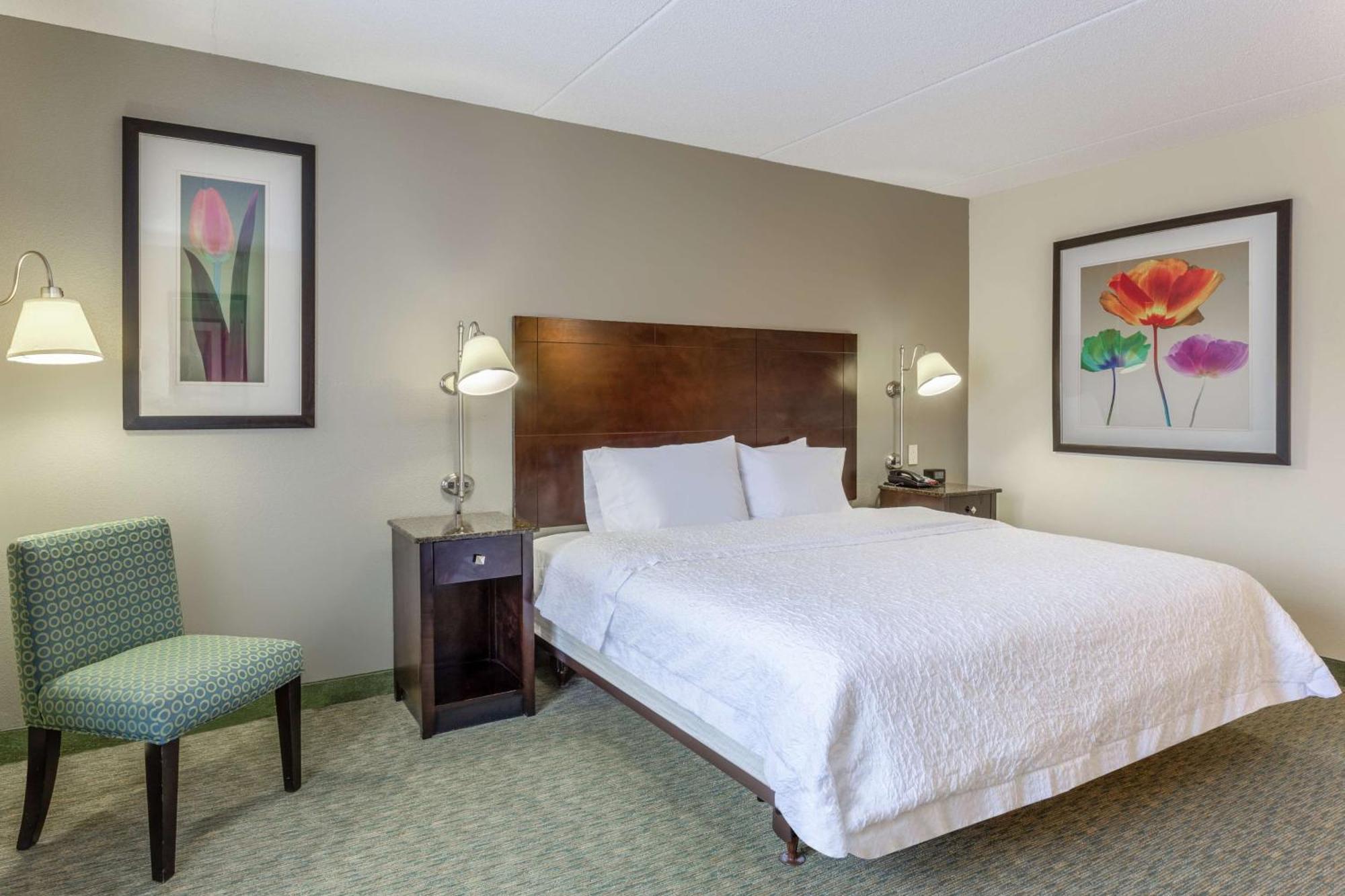 King Room Accessible Tub Mobility Hearing Access or Non-Smoking