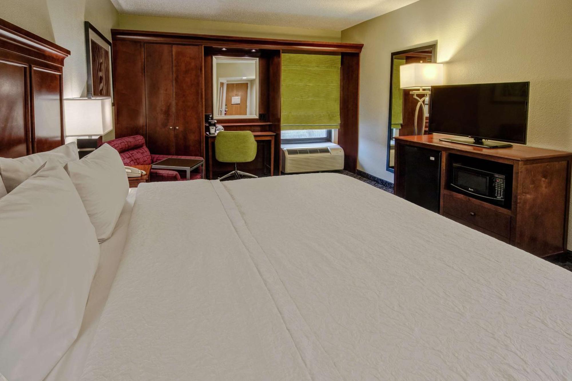 King Room with Microwave and Refrigerator - Non-Smoking
