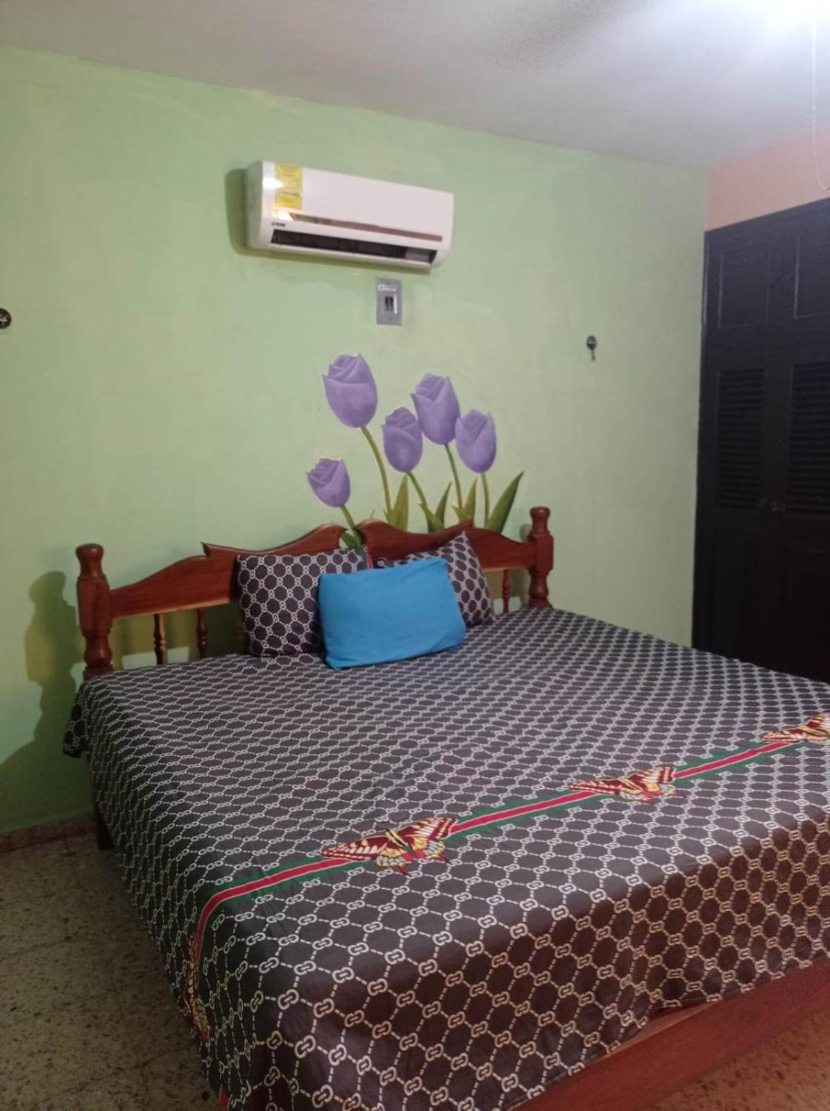 Habitación Individual Económica