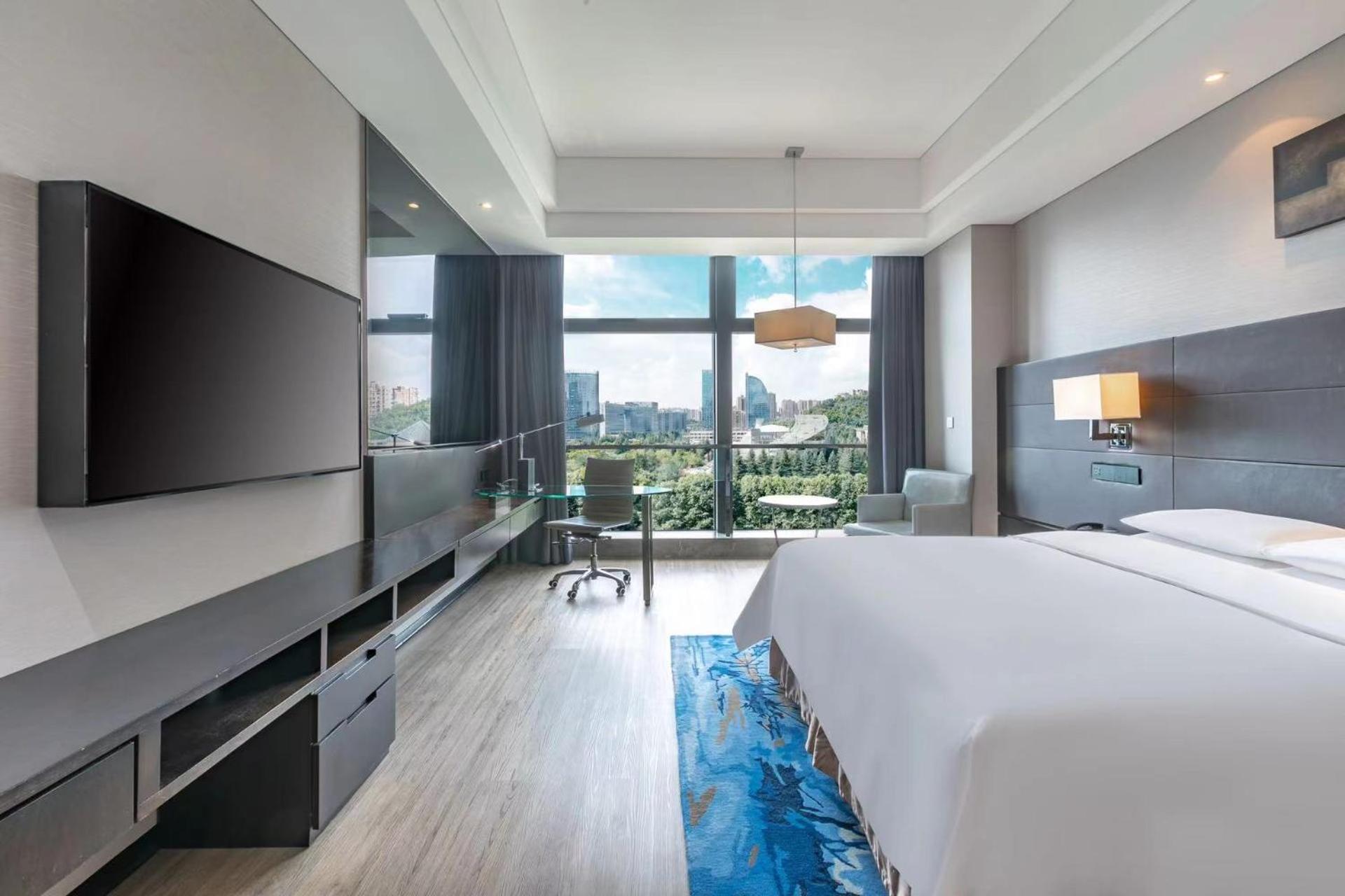 Premier King or Double Room with City View