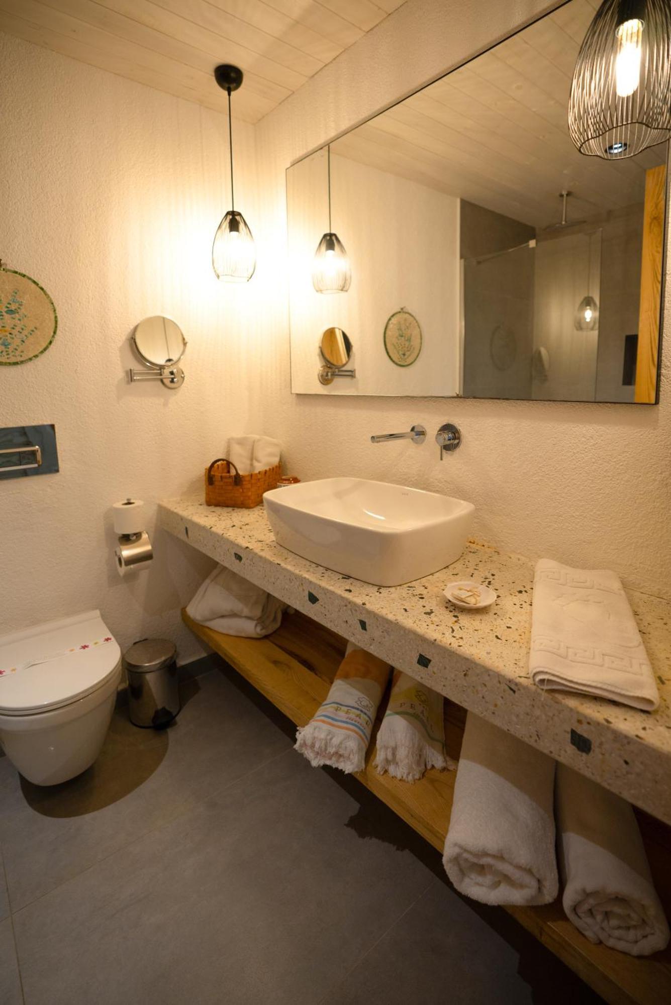 Twin Room with Swimming Pool Access