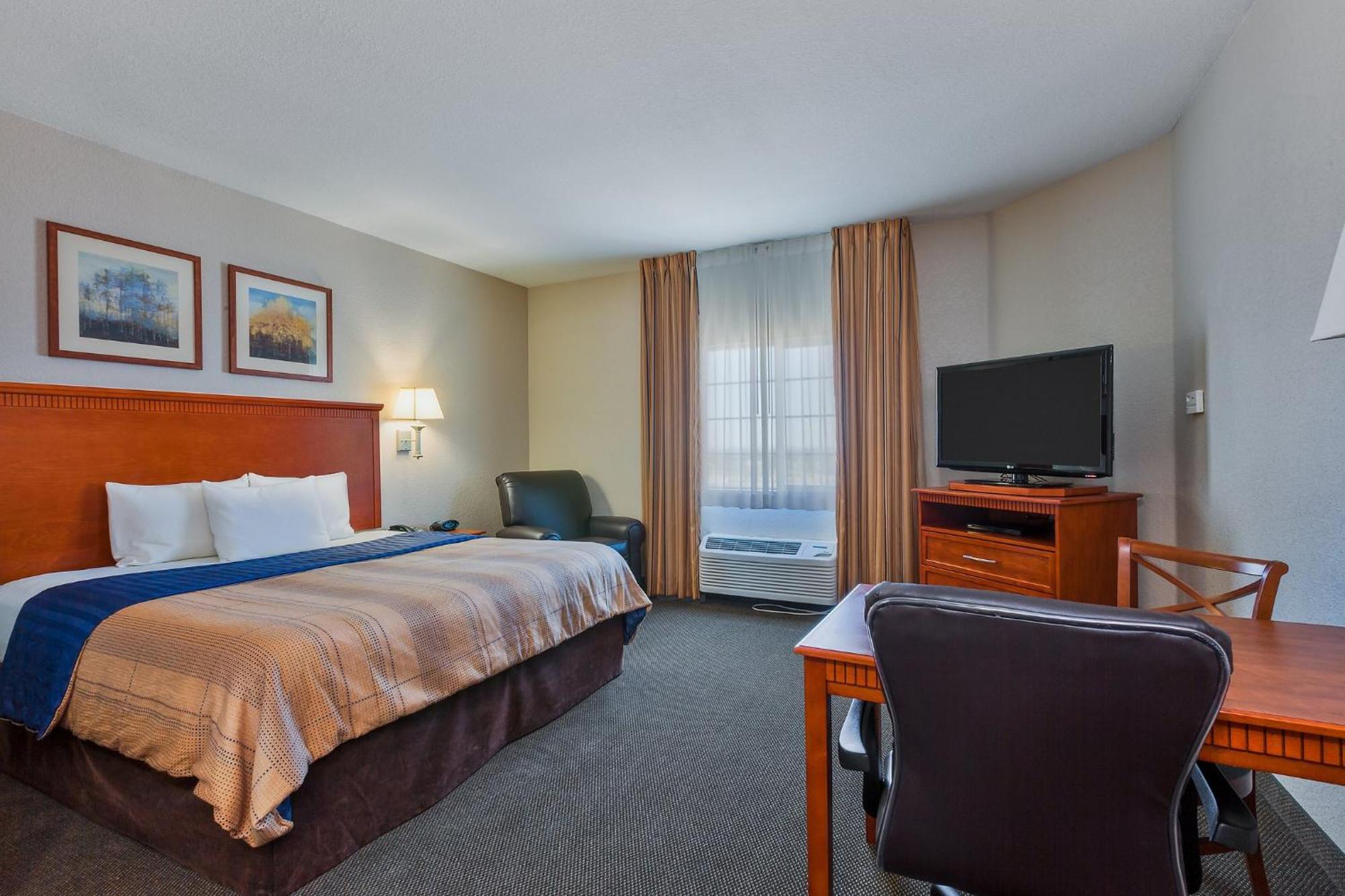 King Studio Suite