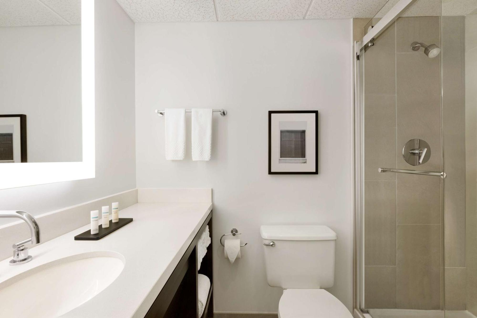Two-Room King Suite Non-Smoking