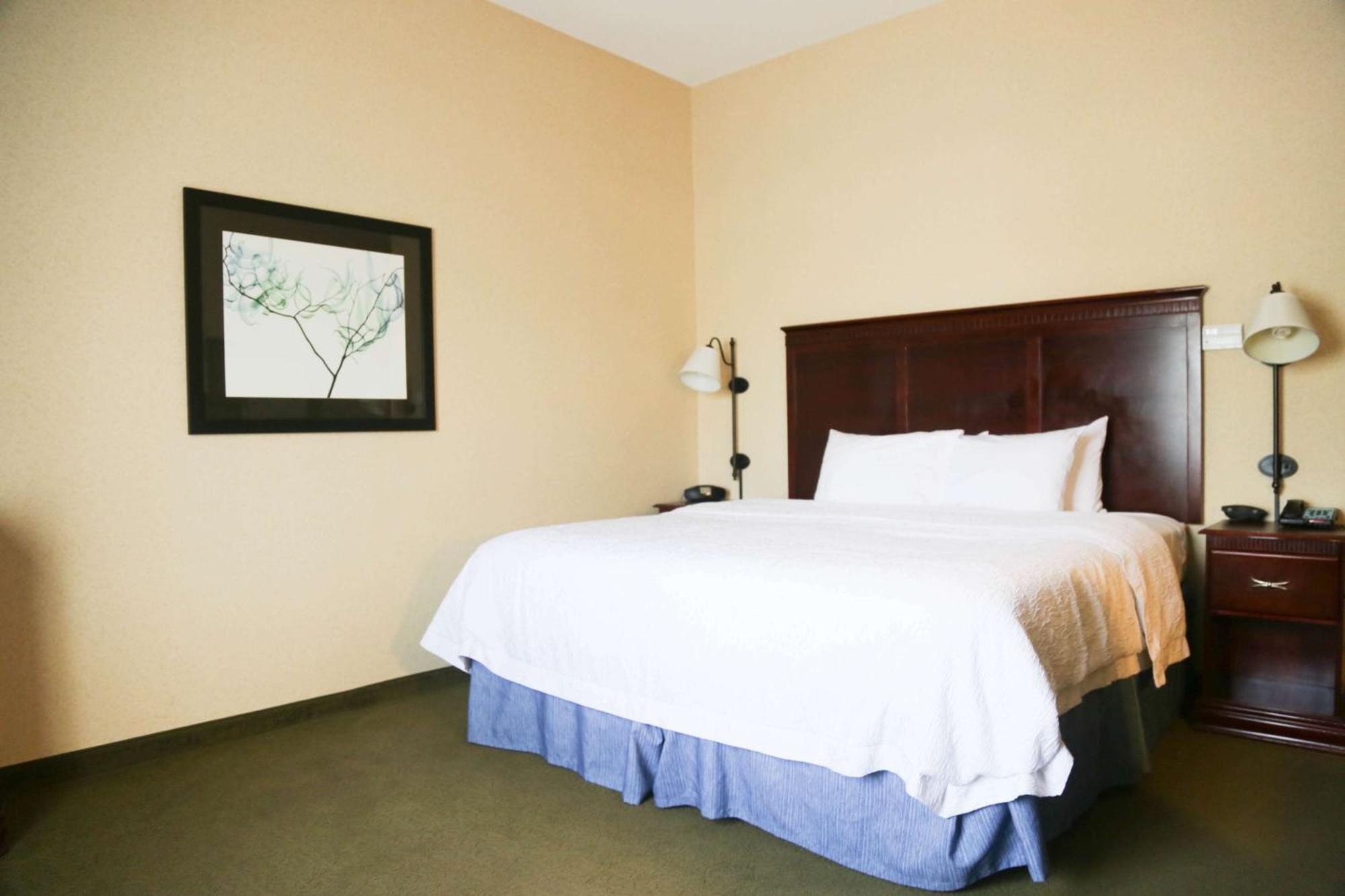 King Room King Bed Non-Smoking