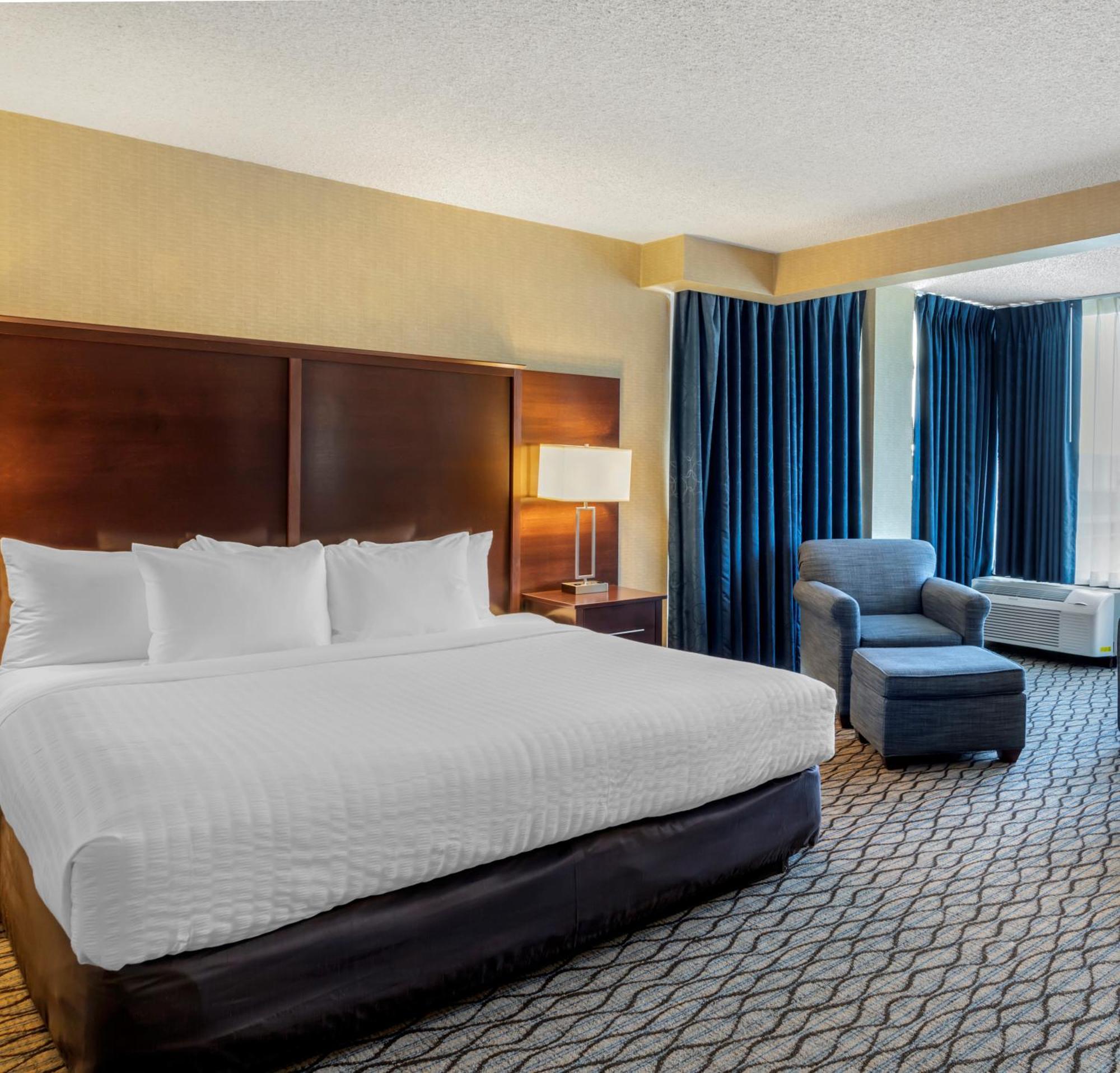 Accessible Suite 1 King Bed Roll Shower Non-Smoking