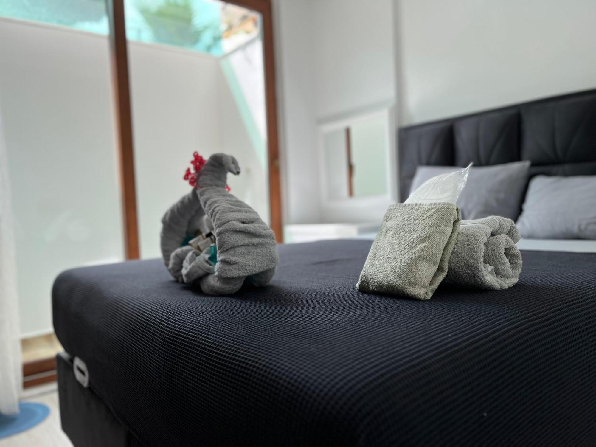 Standaard Appartement - In het Souterrain