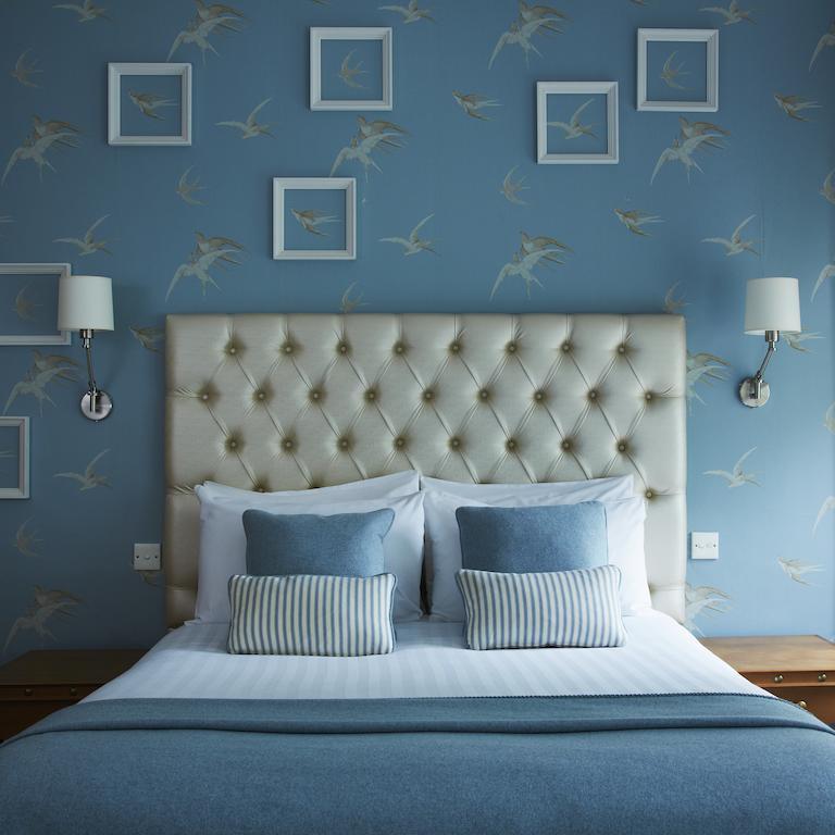 Habitación Estándar - Cama extragrande