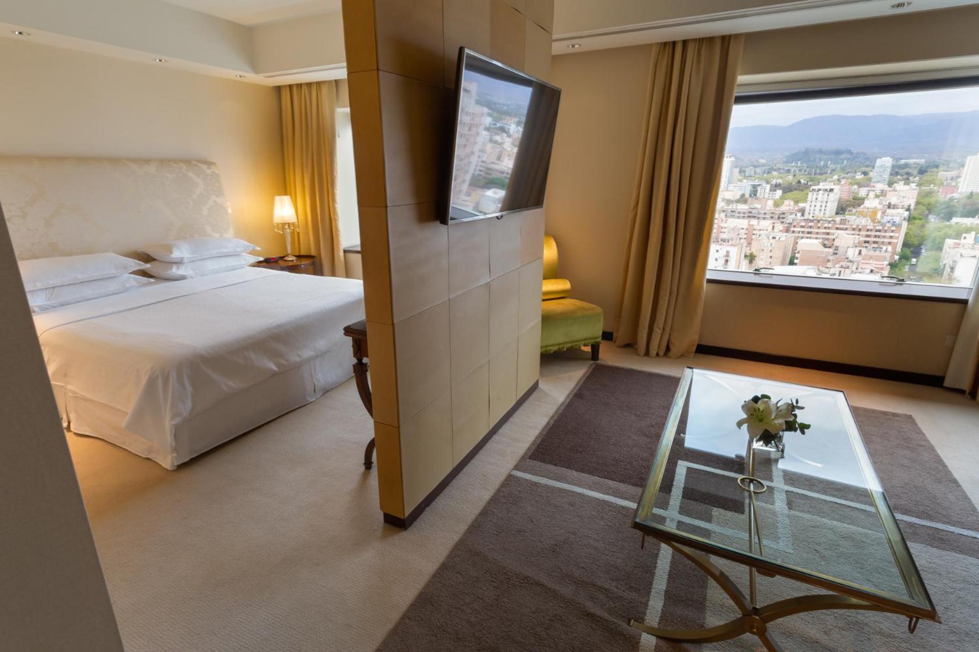 Presidential Suite 1 King