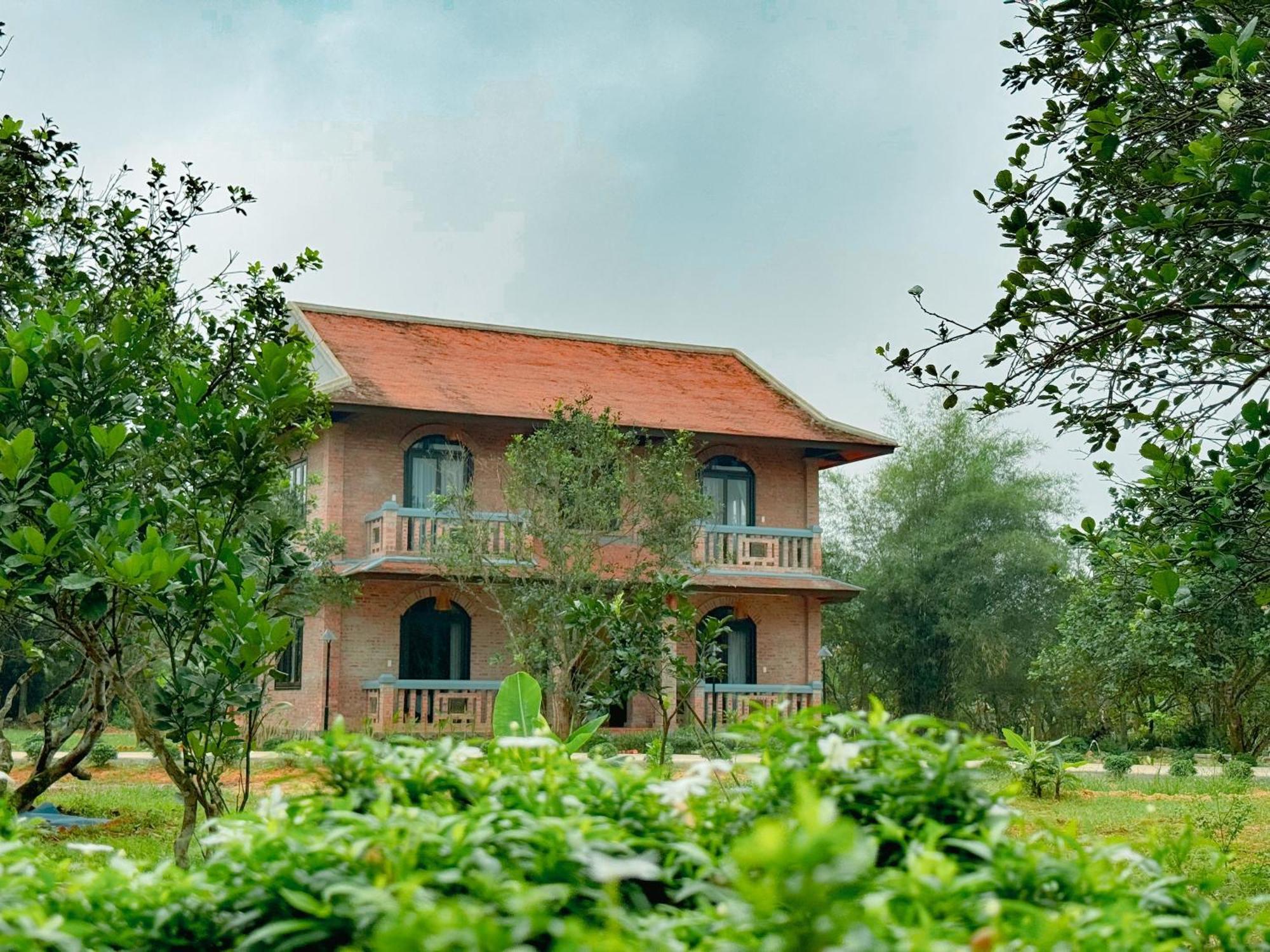 Phòng Superior 2 Giường Đơn