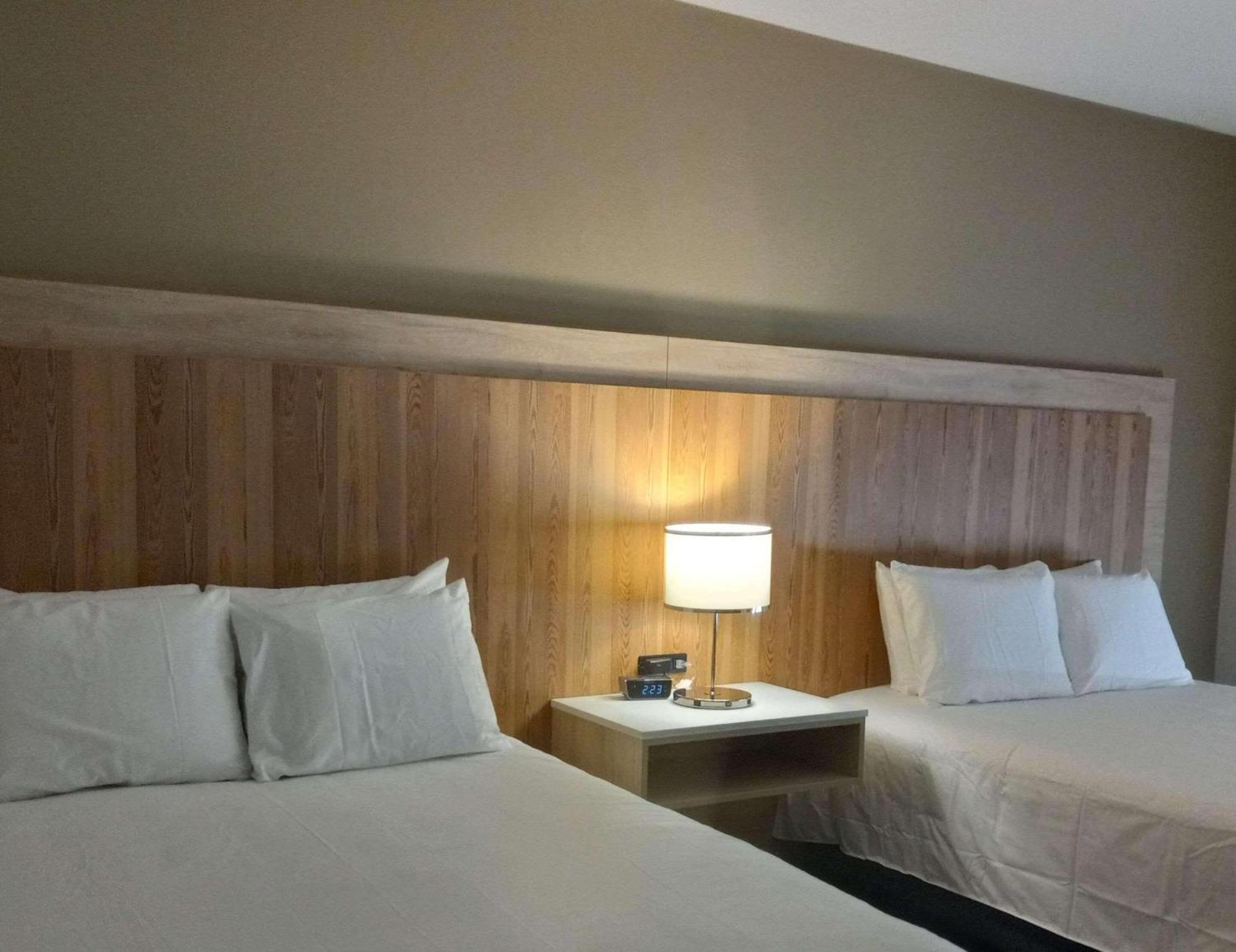 Queen Room with Two Queen Beds and Roll-In Shower - Disability Access/Non-Smoking
