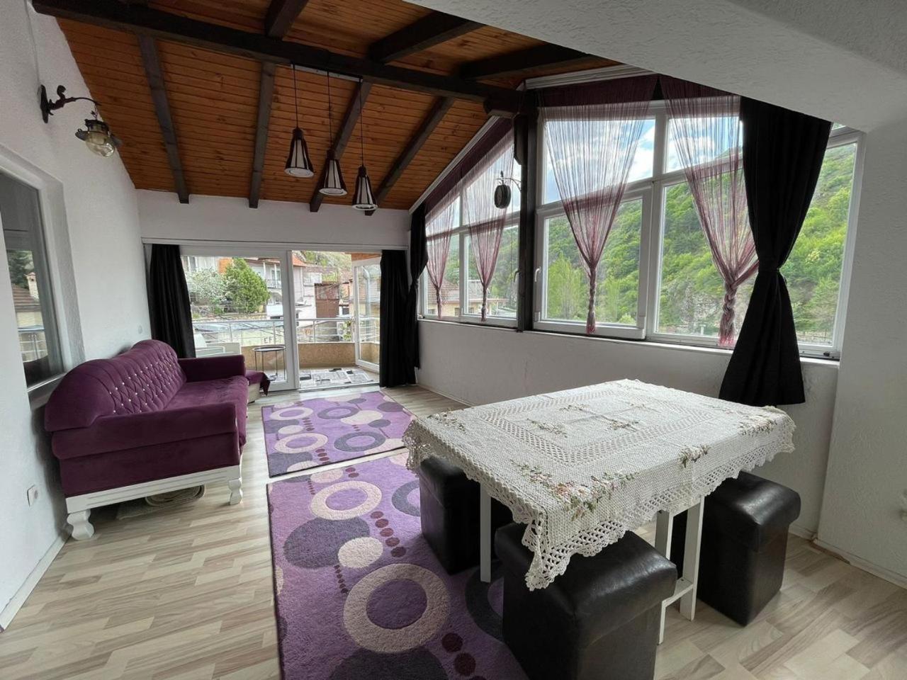 Apartment with Mountain View