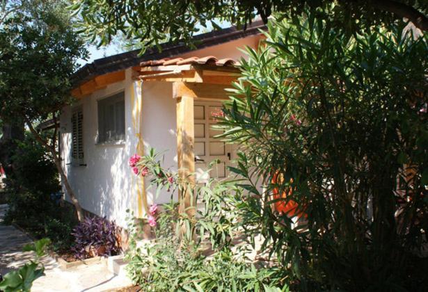 Studio with Garden View