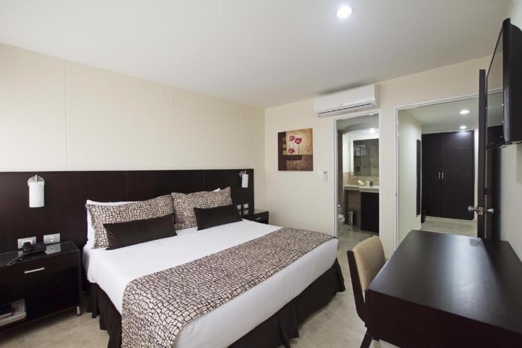 Senior Suite
