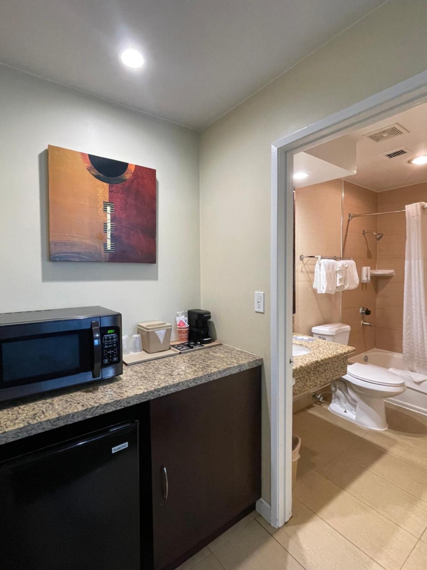 One Room Suite with Sofa bed - Non Smoking
