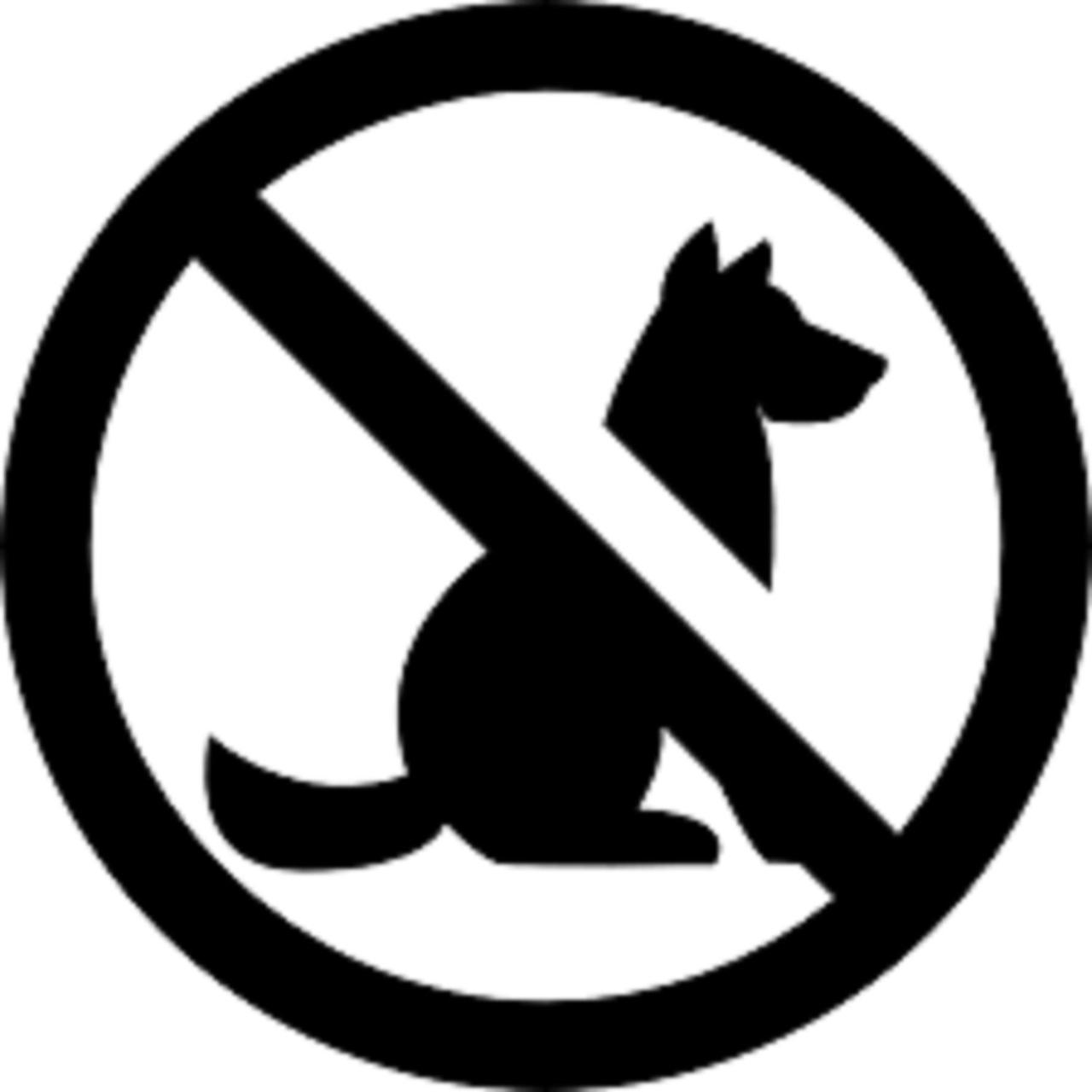 Apartment without Balcony 519 (no pets allowed)