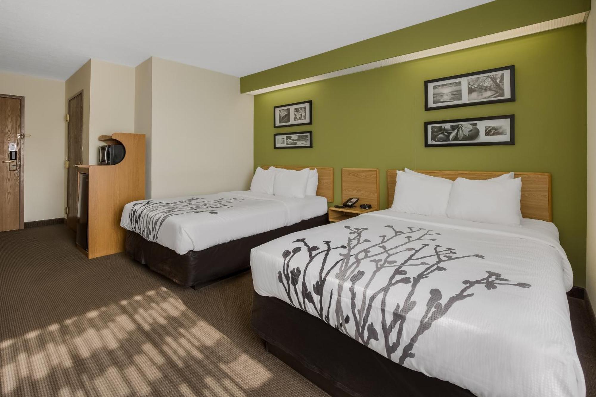 Double Room with Two Double Beds - Accessible/Non-Smoking