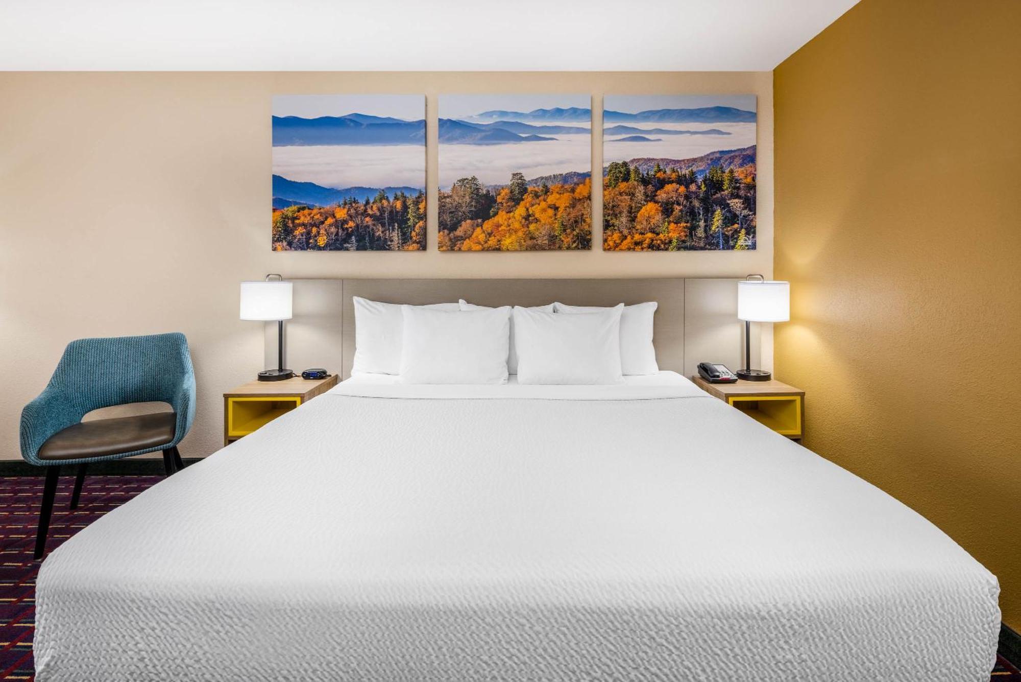 King Room Pet Friendly or Smoking