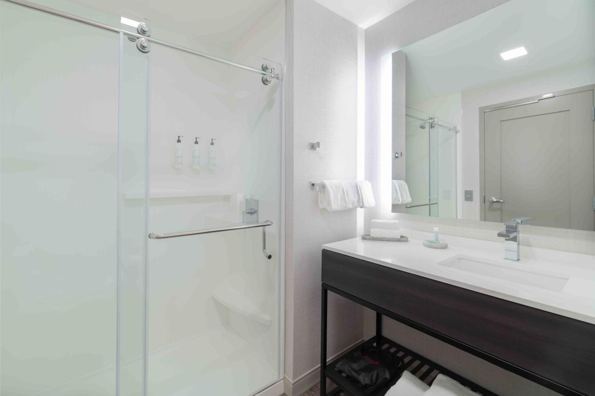 One-Bedroom King Suite with Sofa Bed