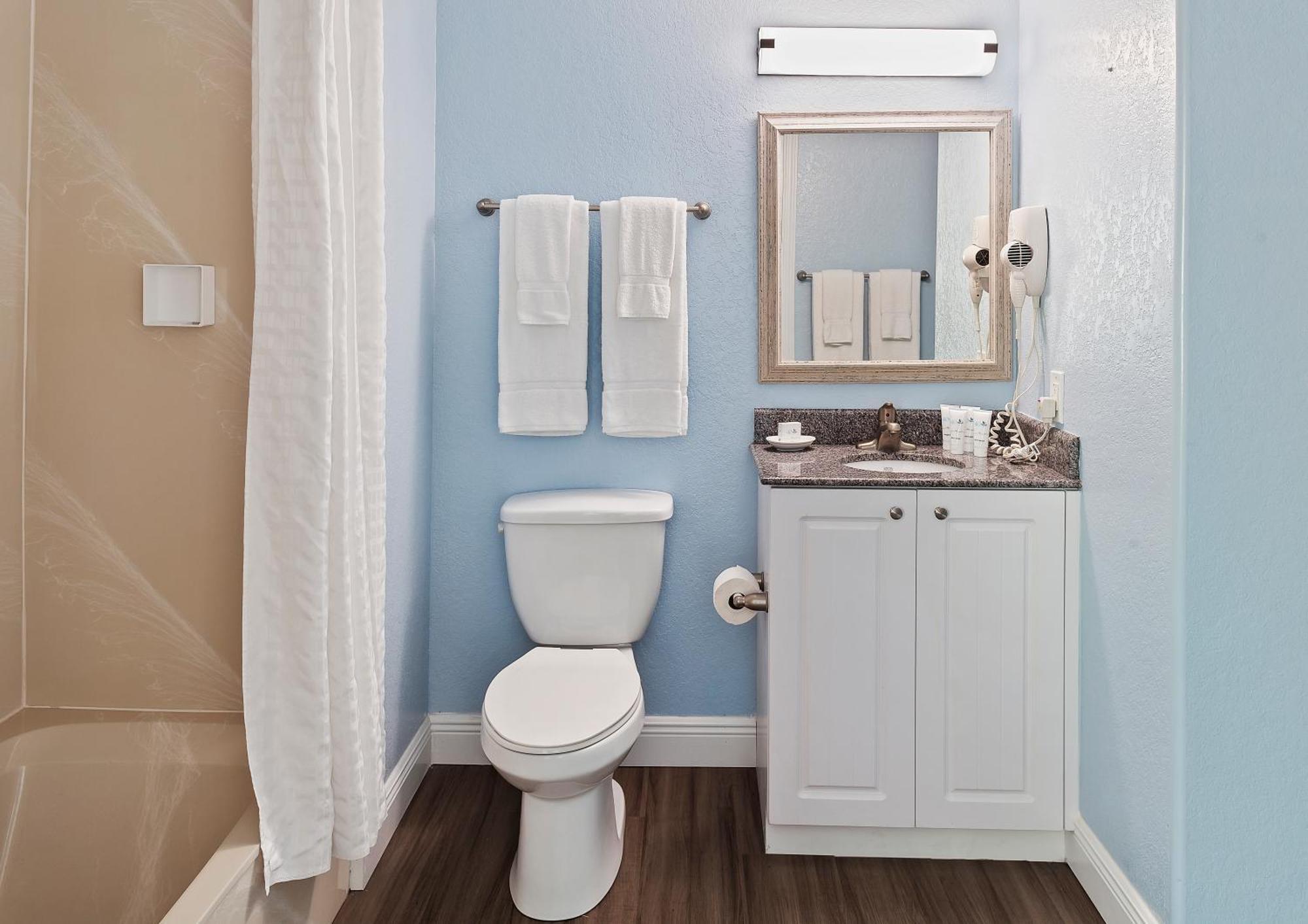 One Bedroom Apartment