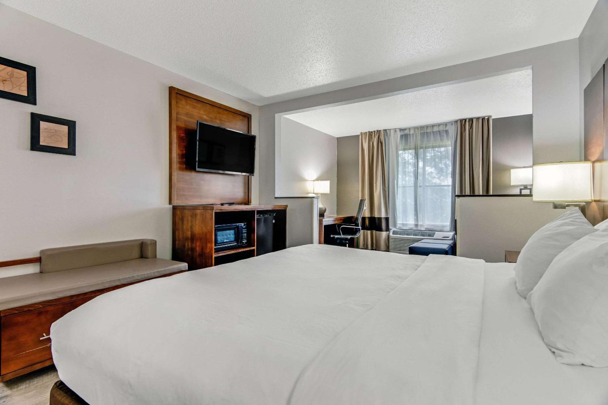 King Suite with Sofa Bed - Non-Smoking
