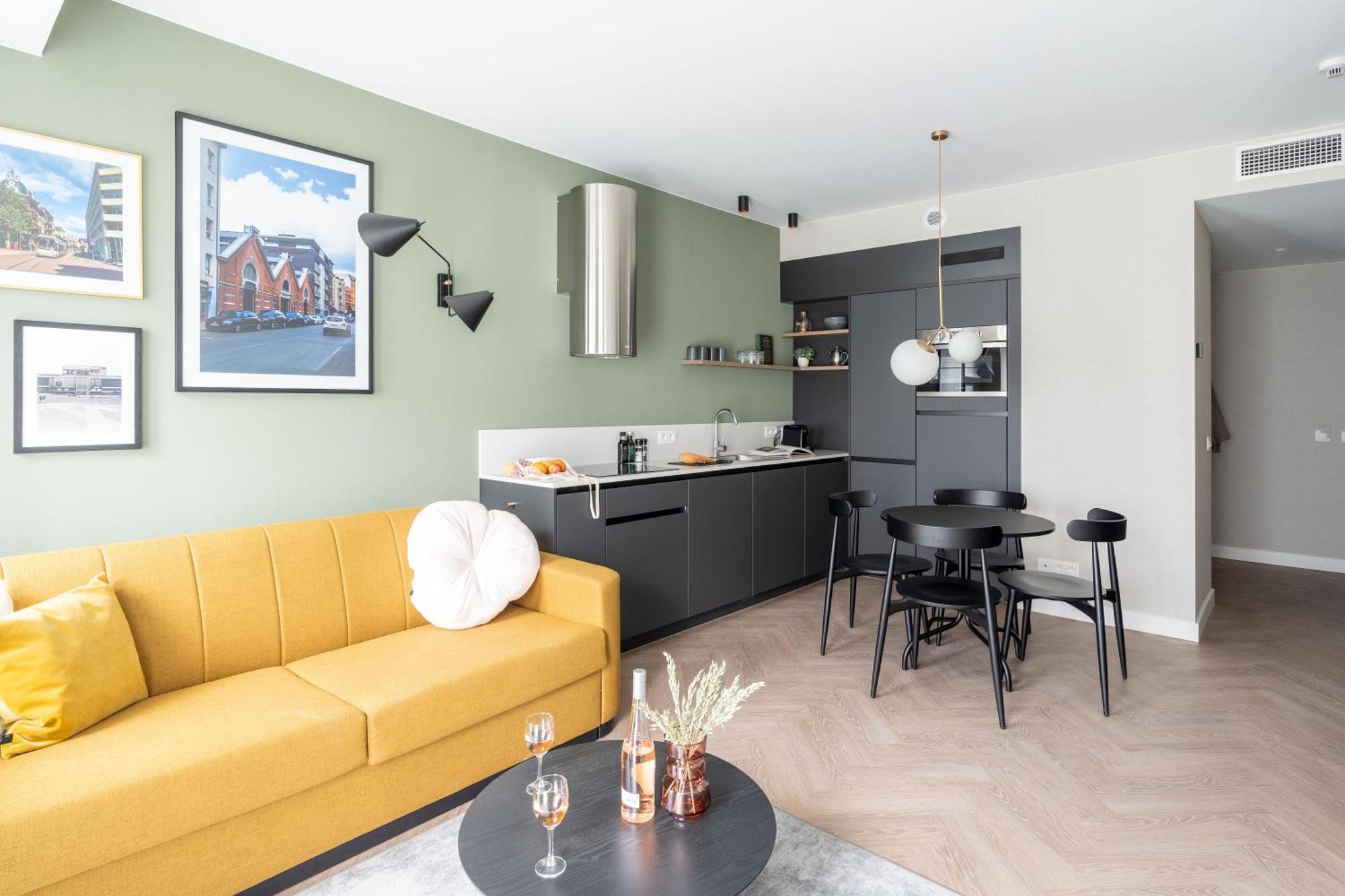 Large 1 Bedroom Apartment Sofa Bed