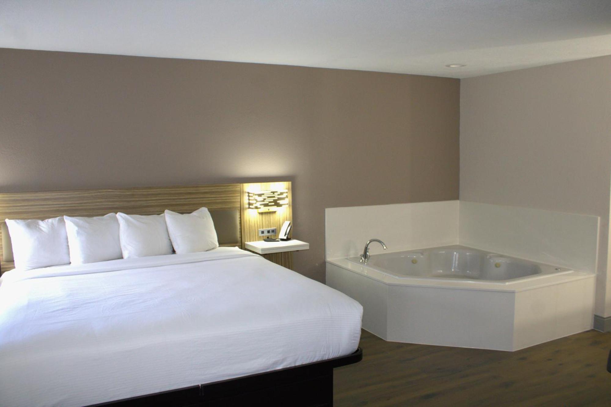 Suite Estudio Superior - No fumadores - 1 cama extragrande