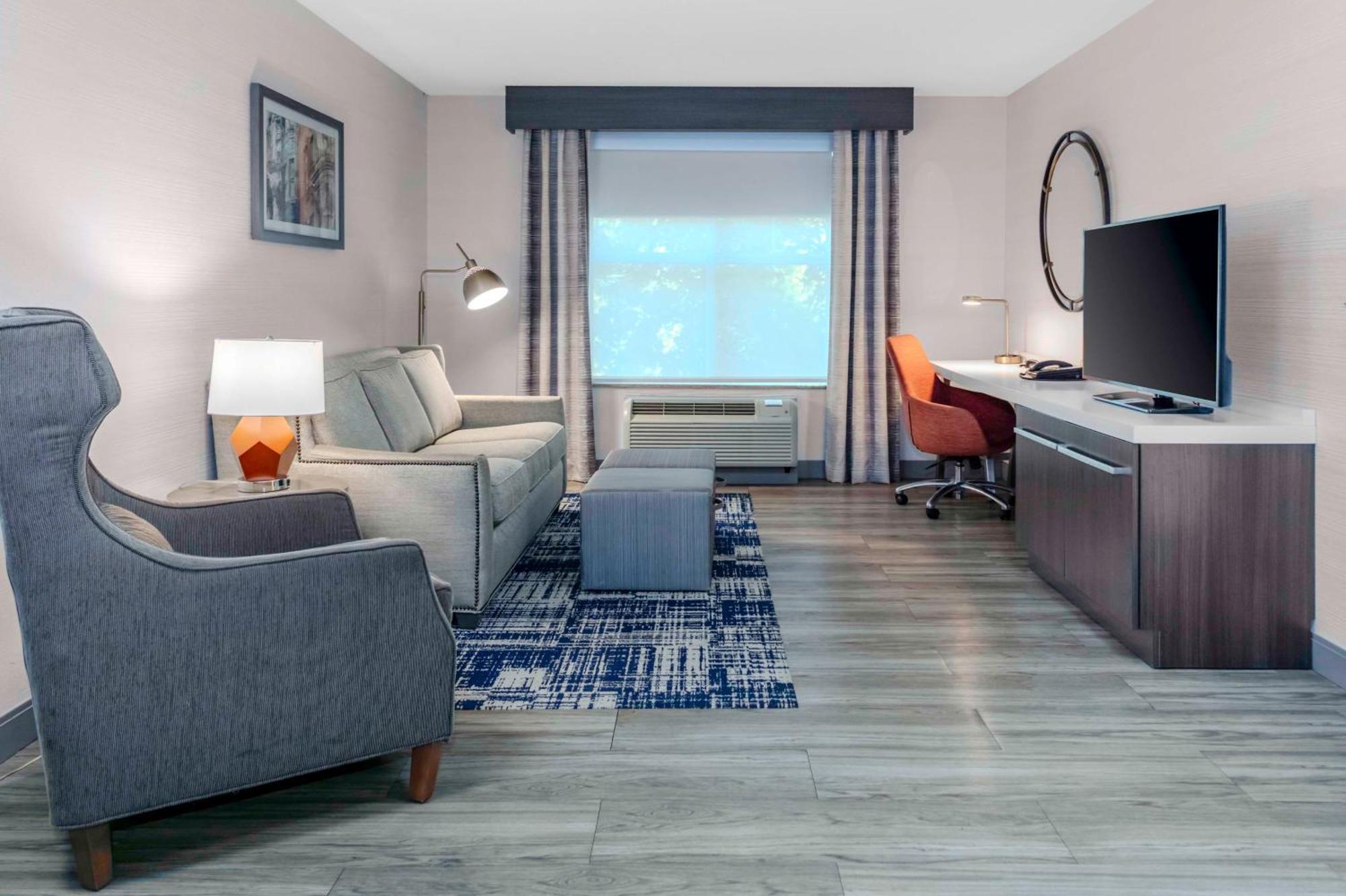 Premium One-Bedroom King Suite with Sofa Bed