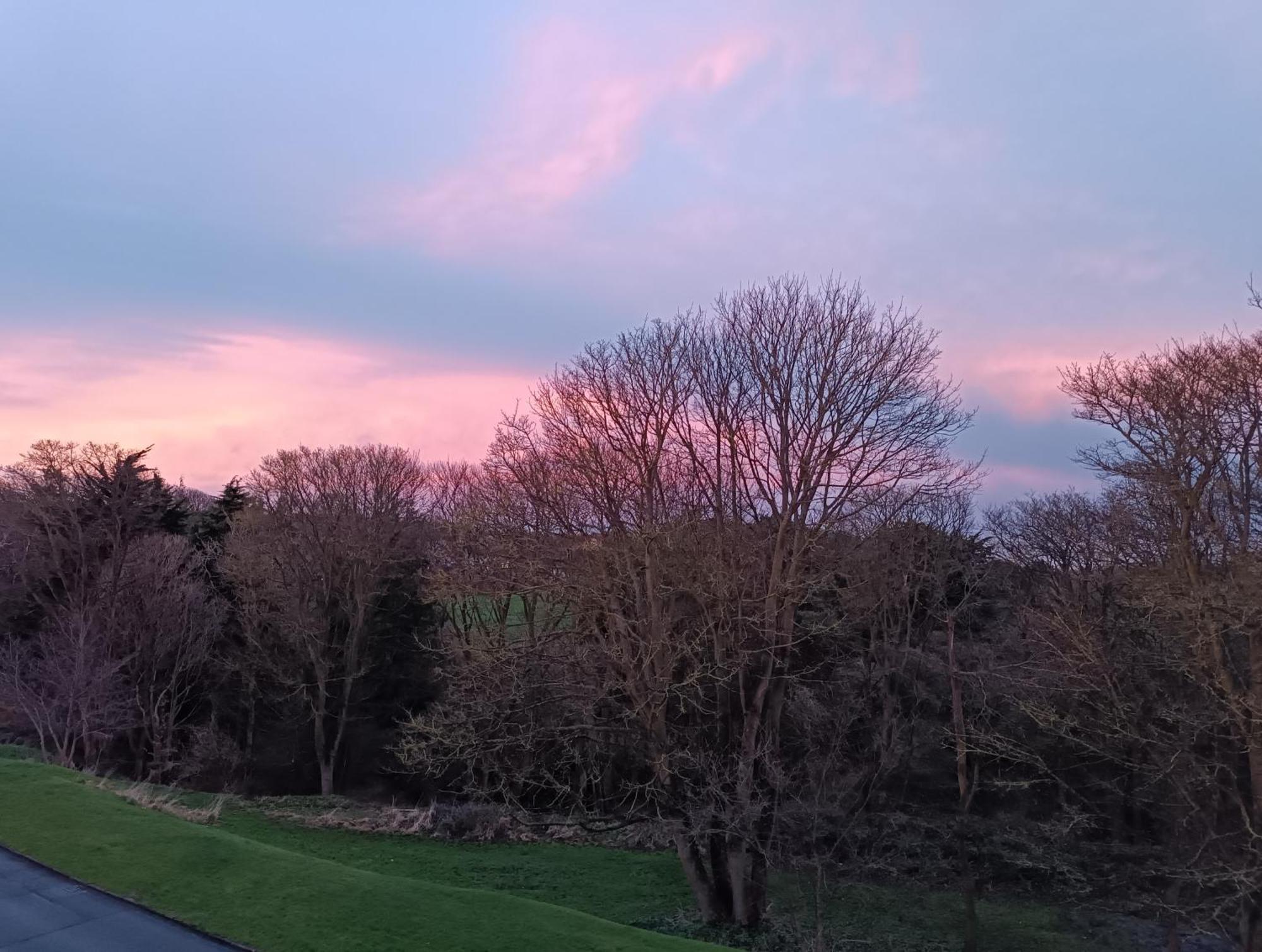 Double Room Garden View,1595976191:JPEG