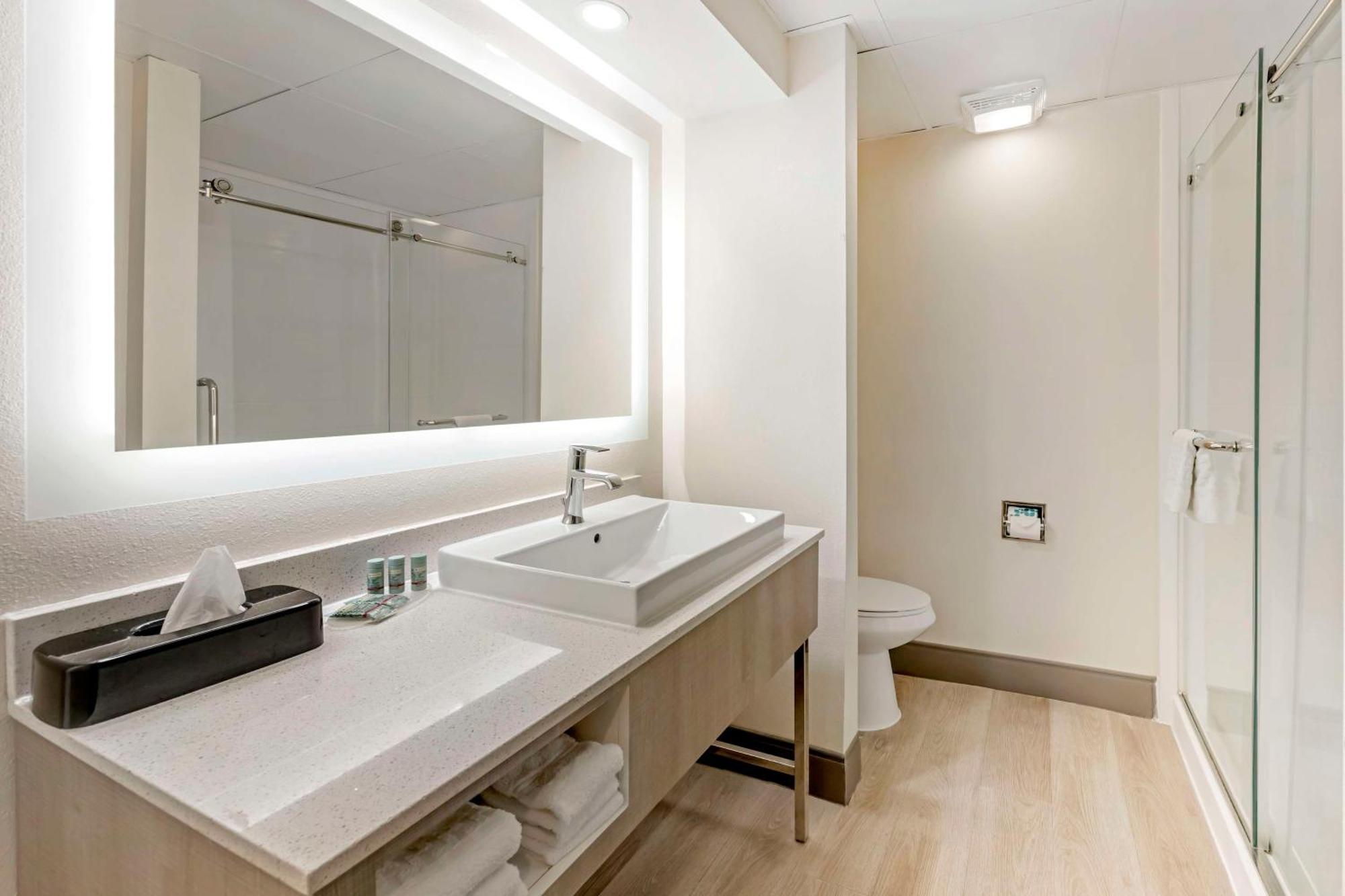 King Suite with Sofa Bed - Non-Smoking